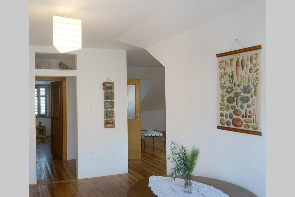 Spacious loft with terrace view 3