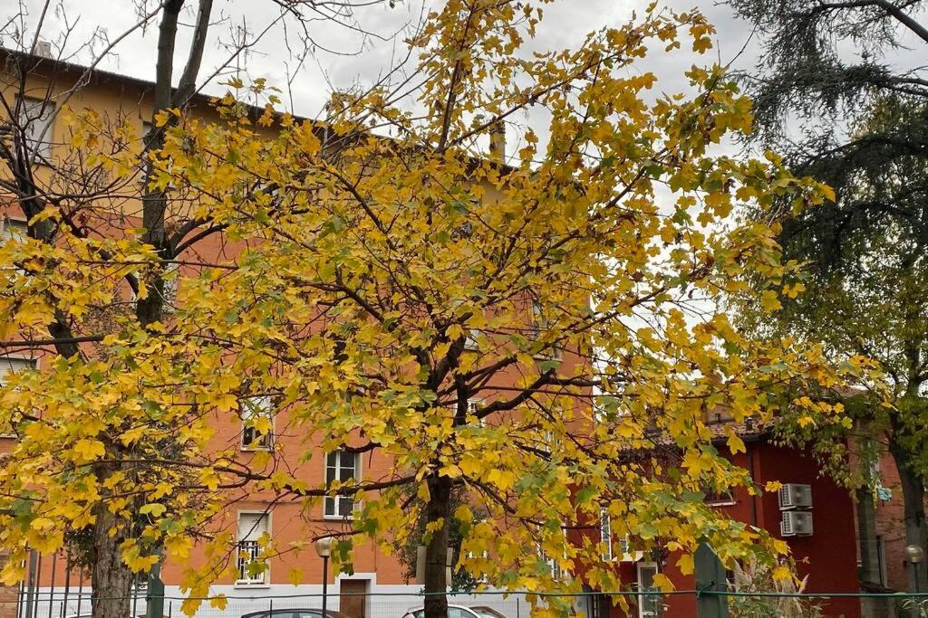 House Bologna Stazione Mazzini flat x 2 view 5