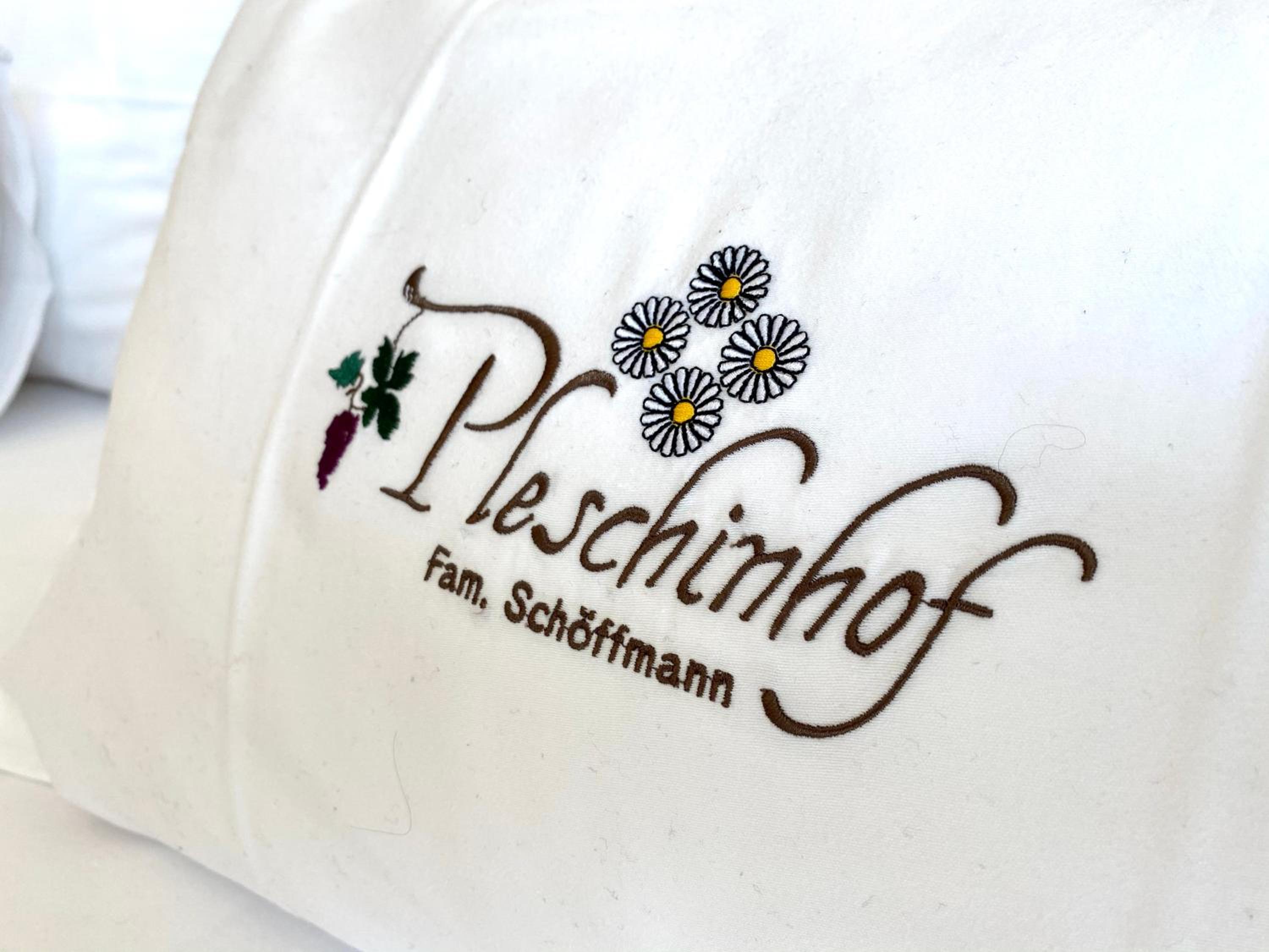 Pleschinhof