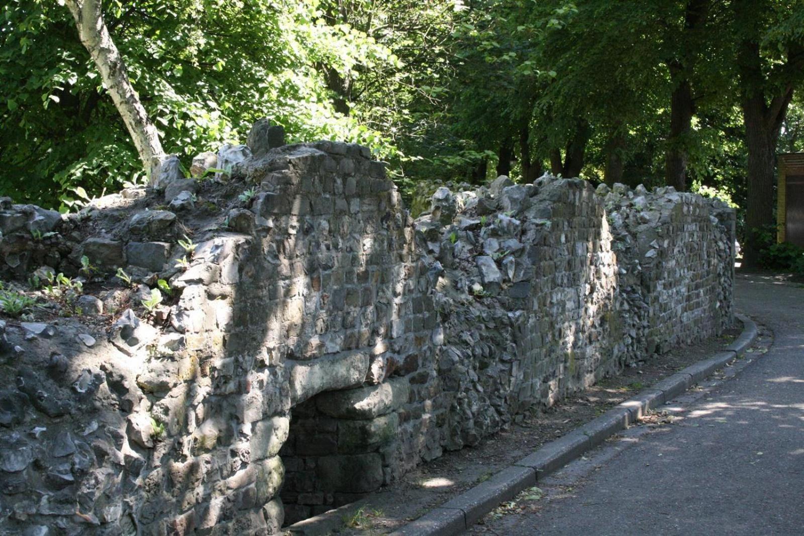 Photo 23