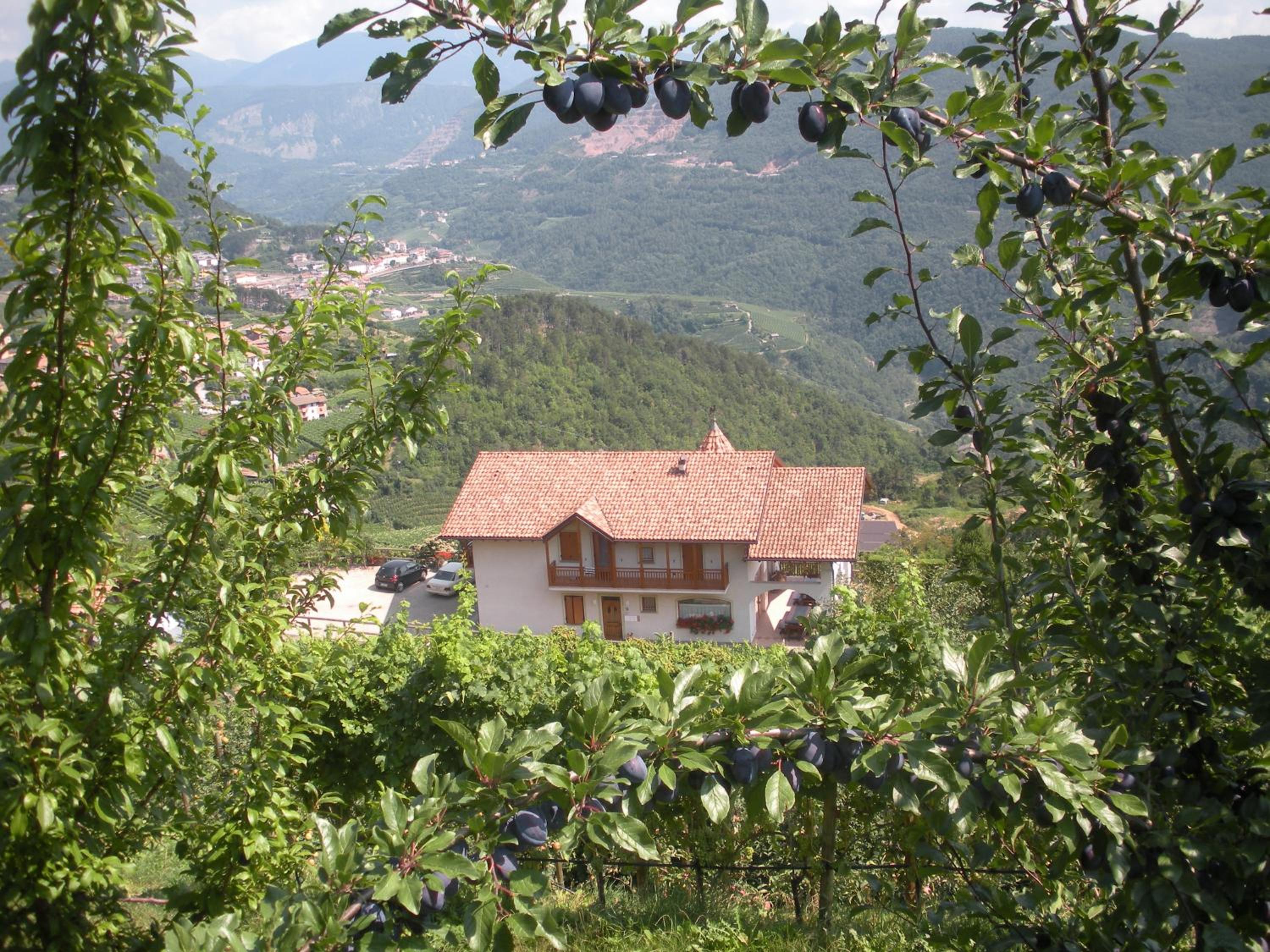 Agritur Maso Pomarolli view 3