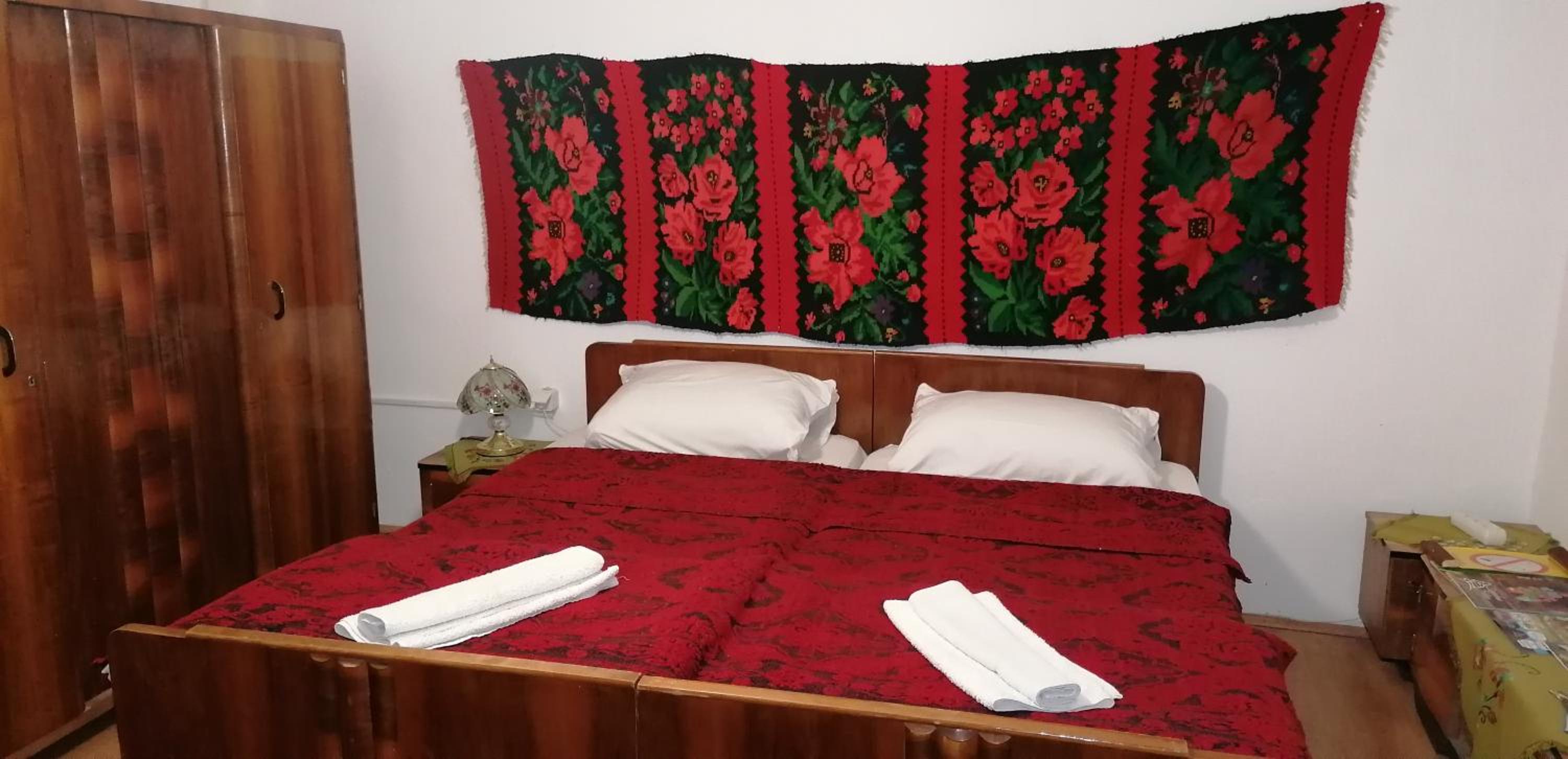 Etno Apartmani ''Vlaška kuća'' view 3