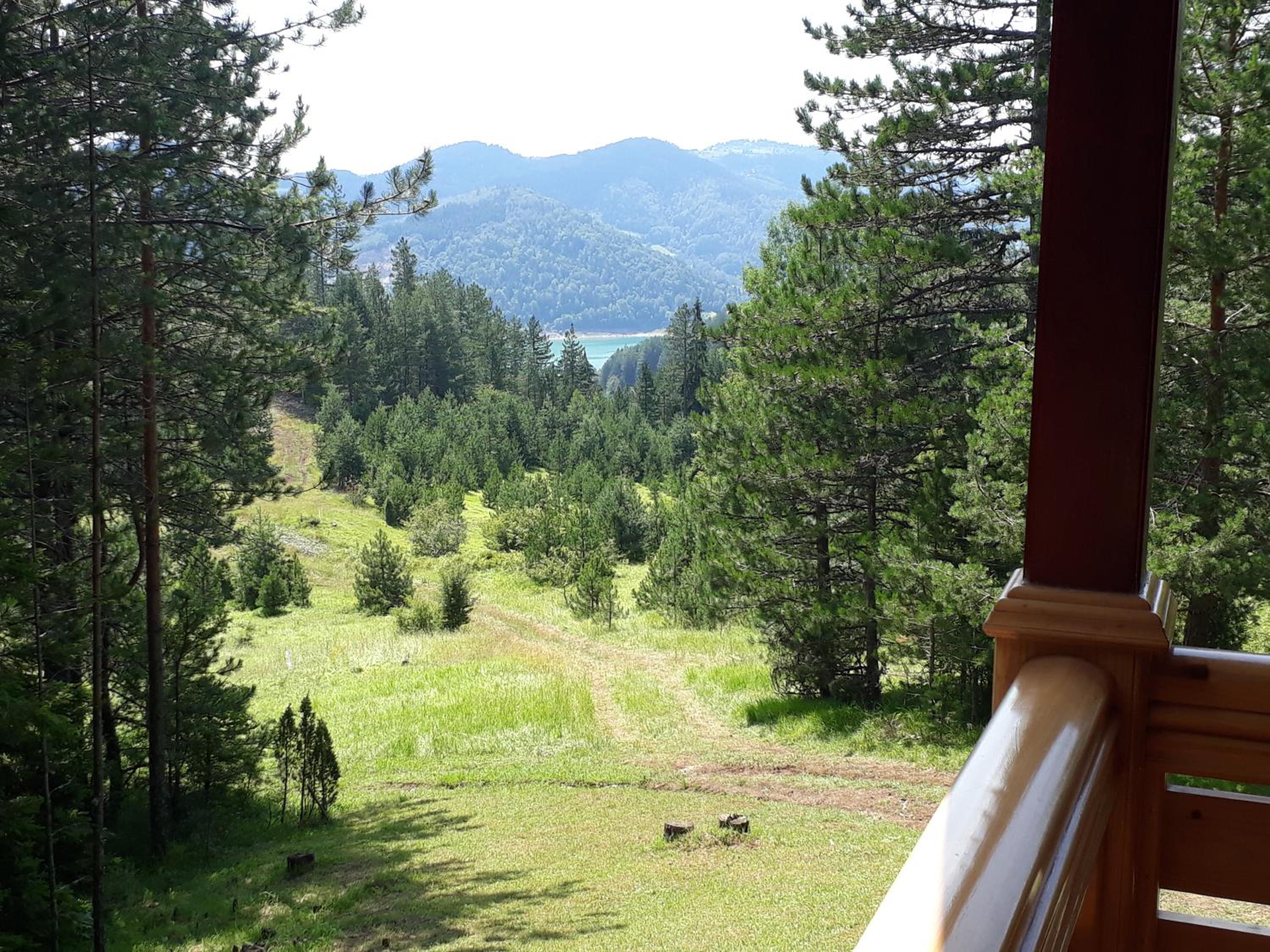 Photo 26