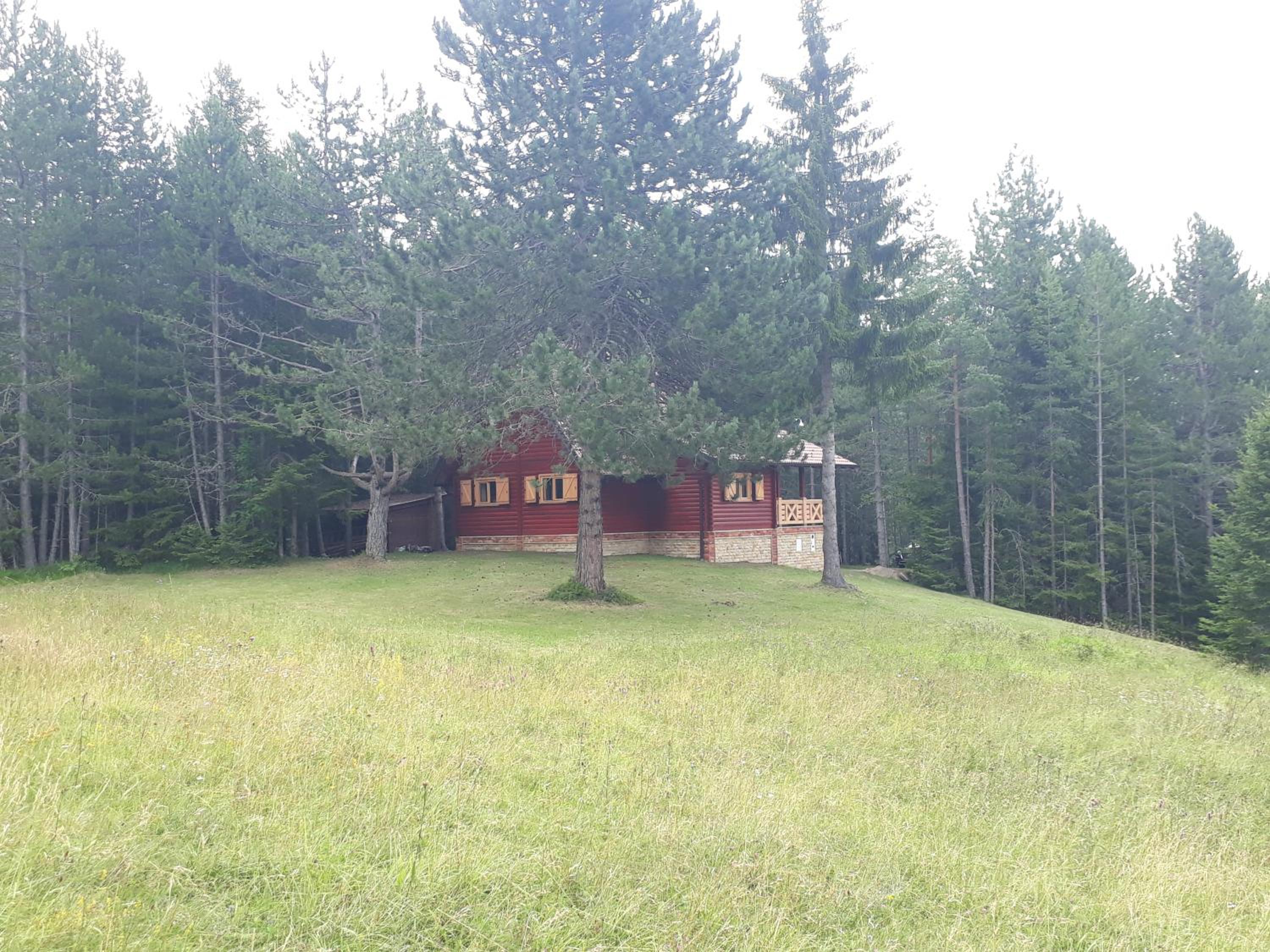 Photo 15