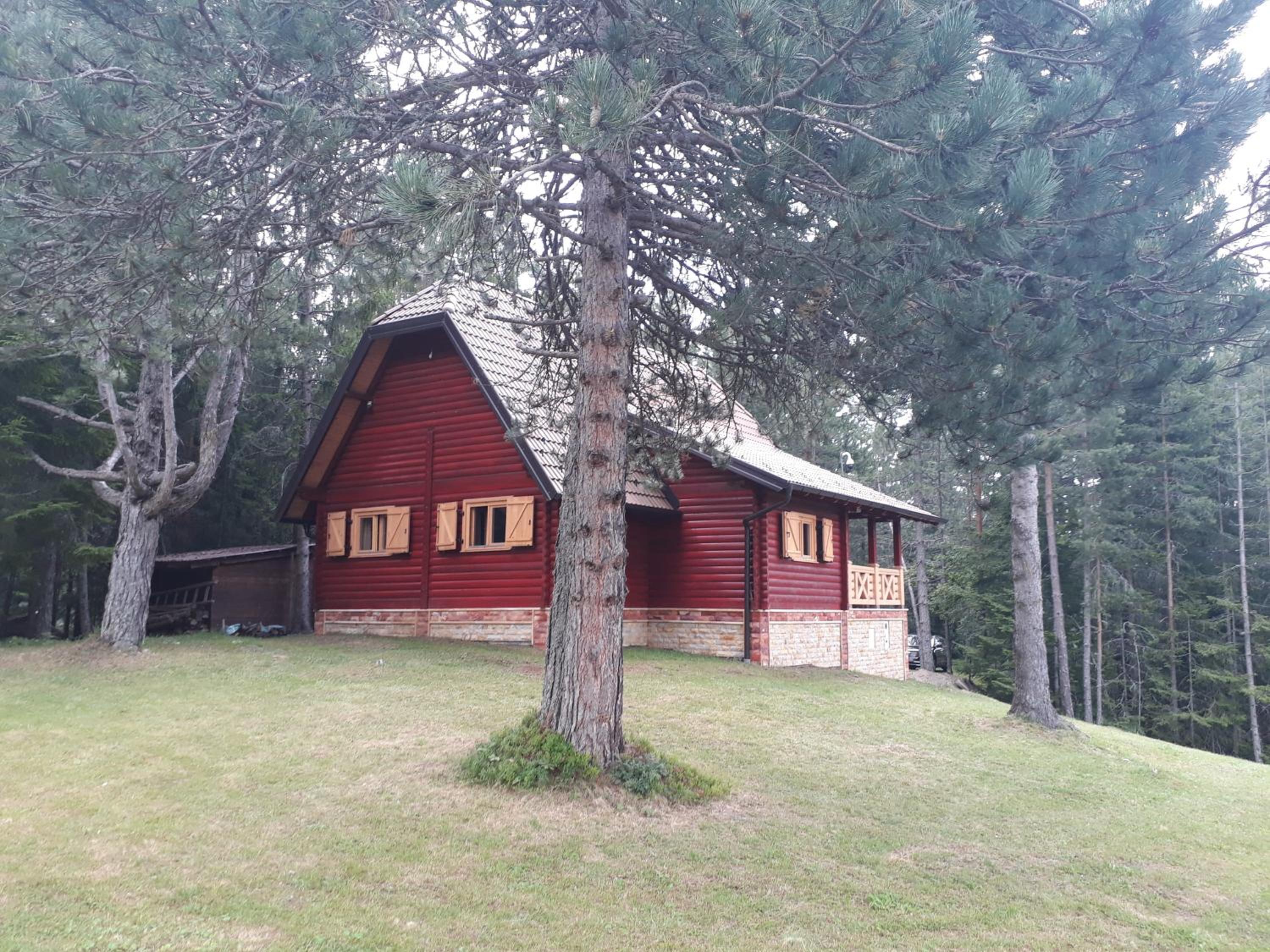 Photo 17