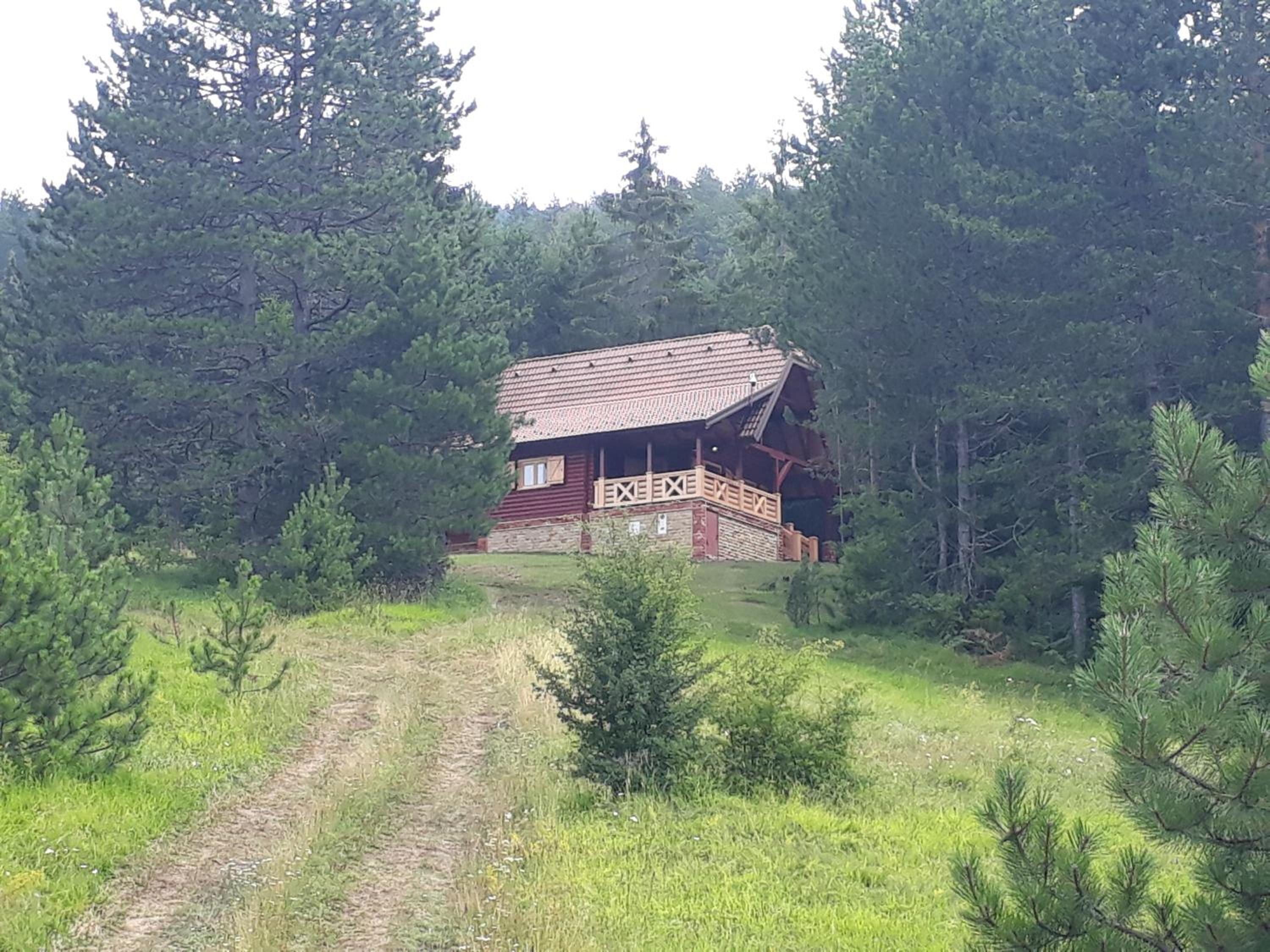 Photo 19