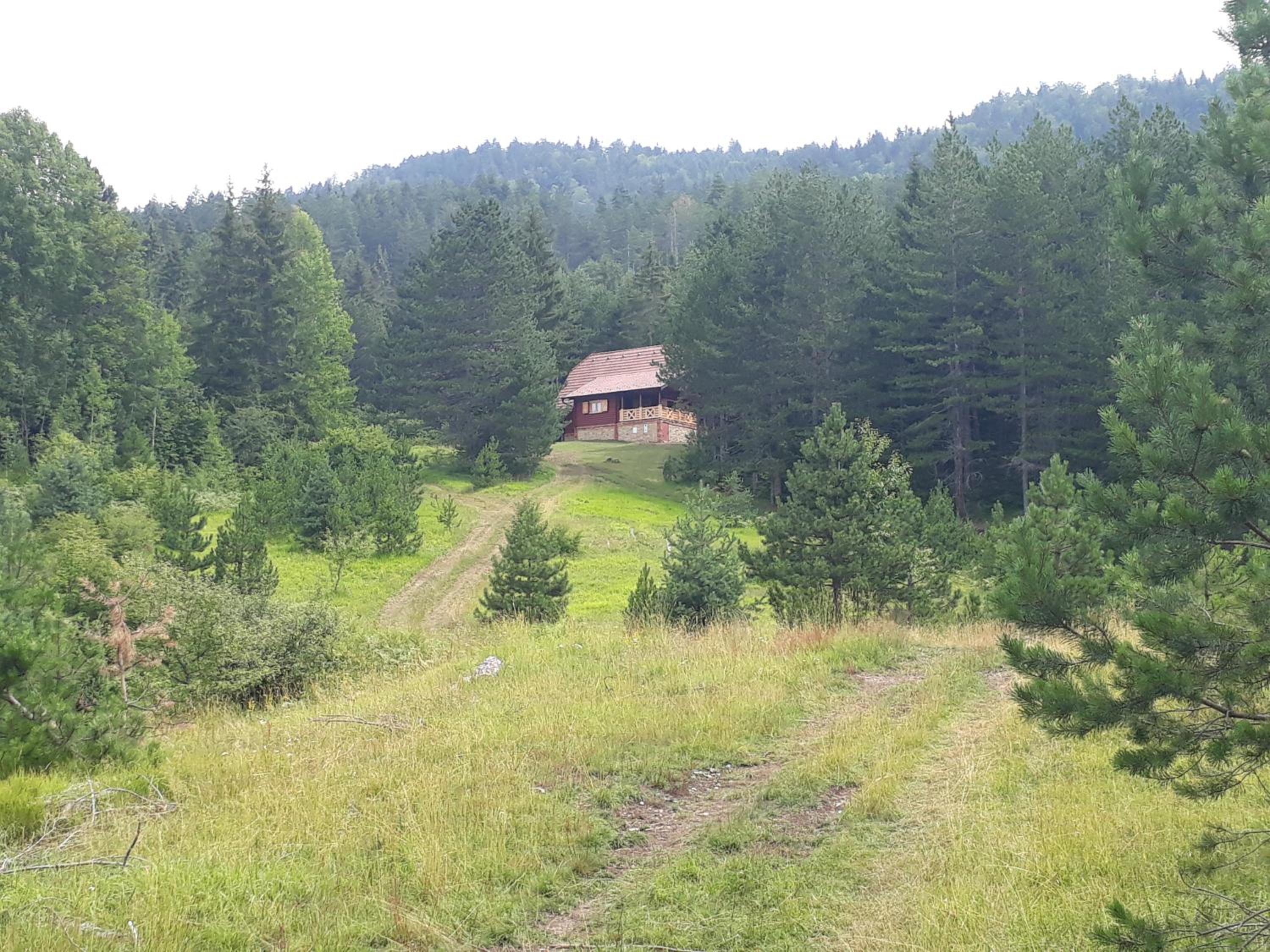 Photo 20