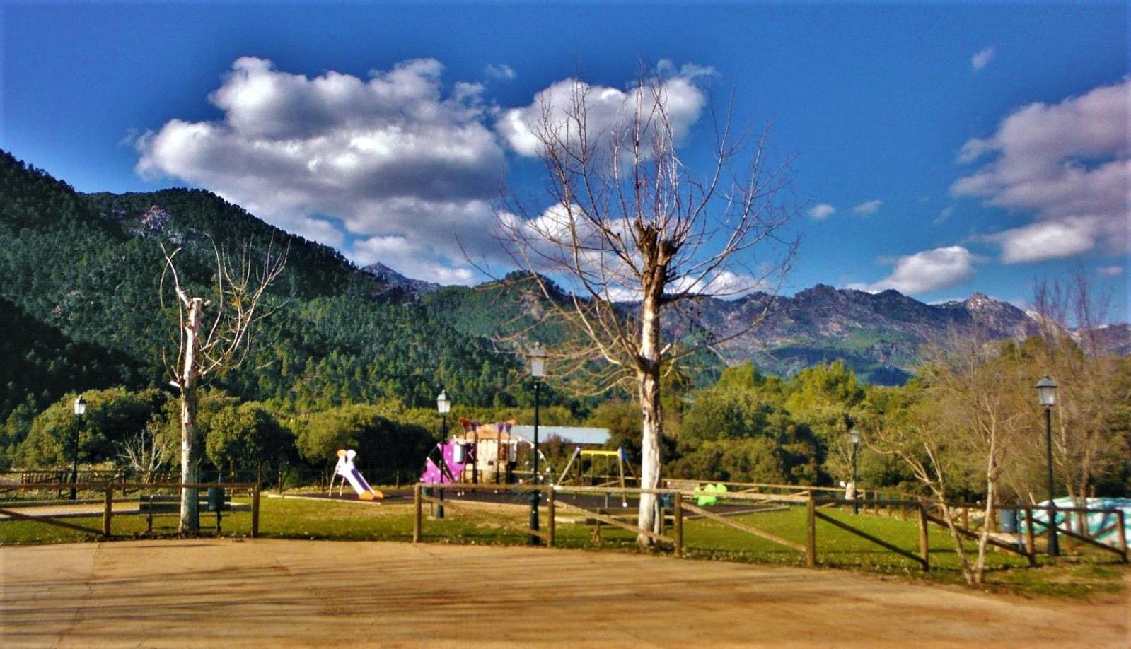 Photo 42