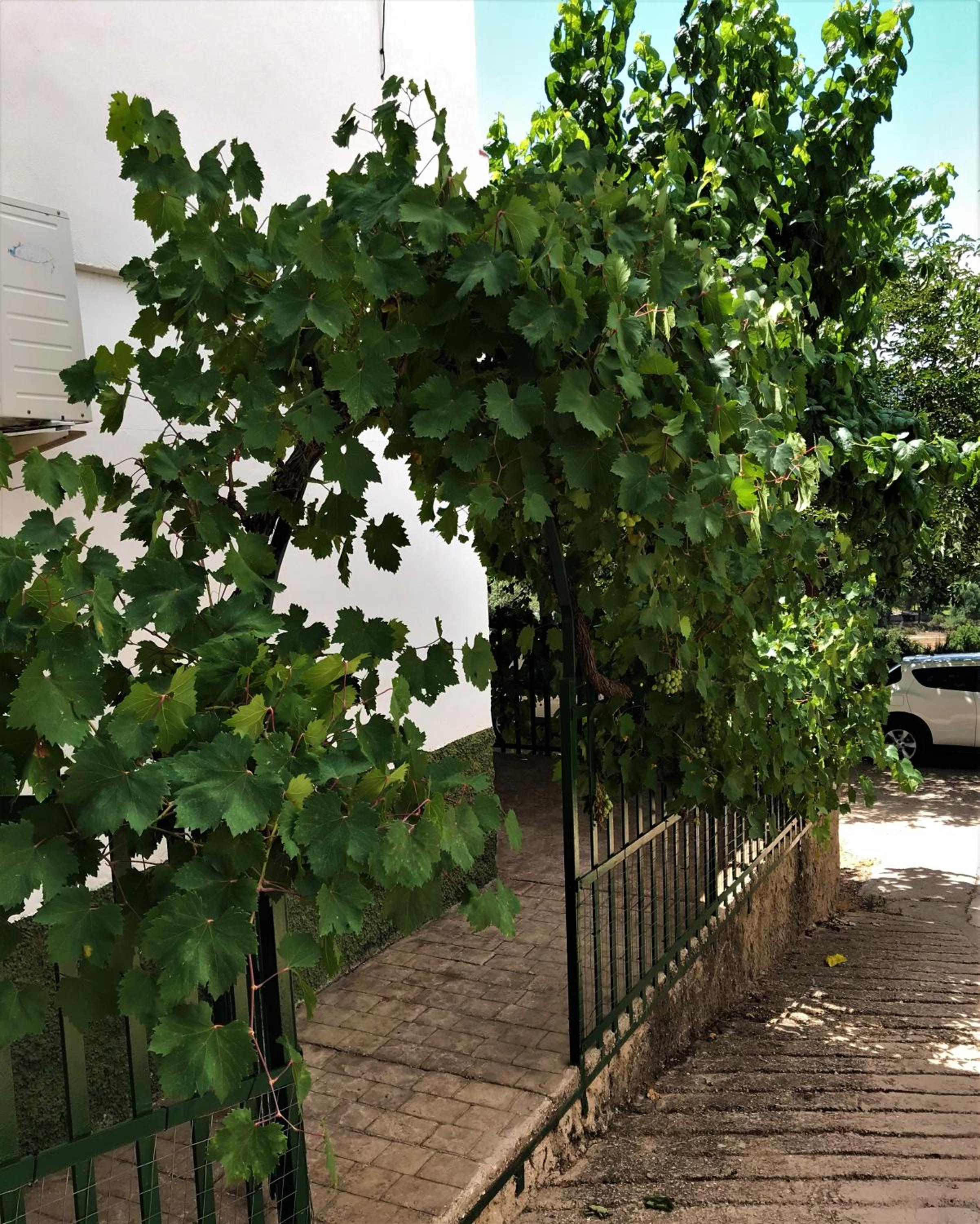 Photo 21