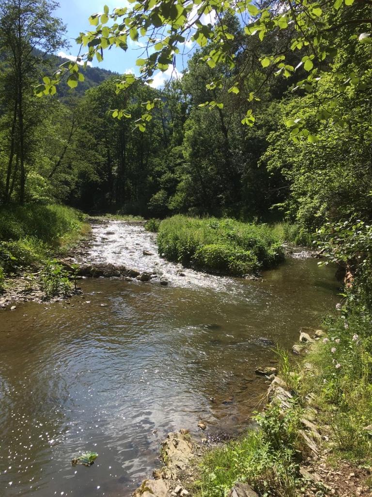 Ferienwohnung Raabklamm