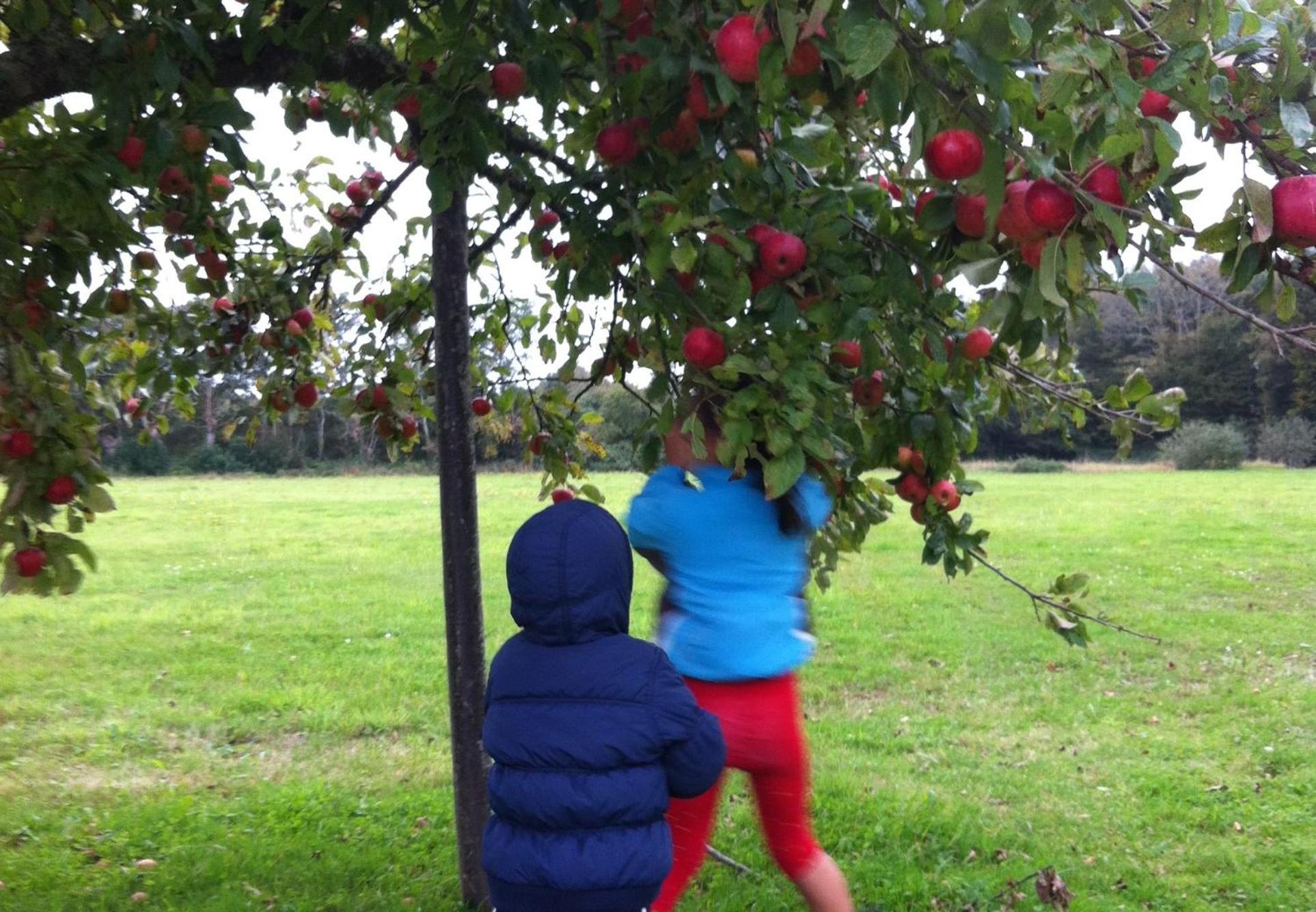 Photo 14