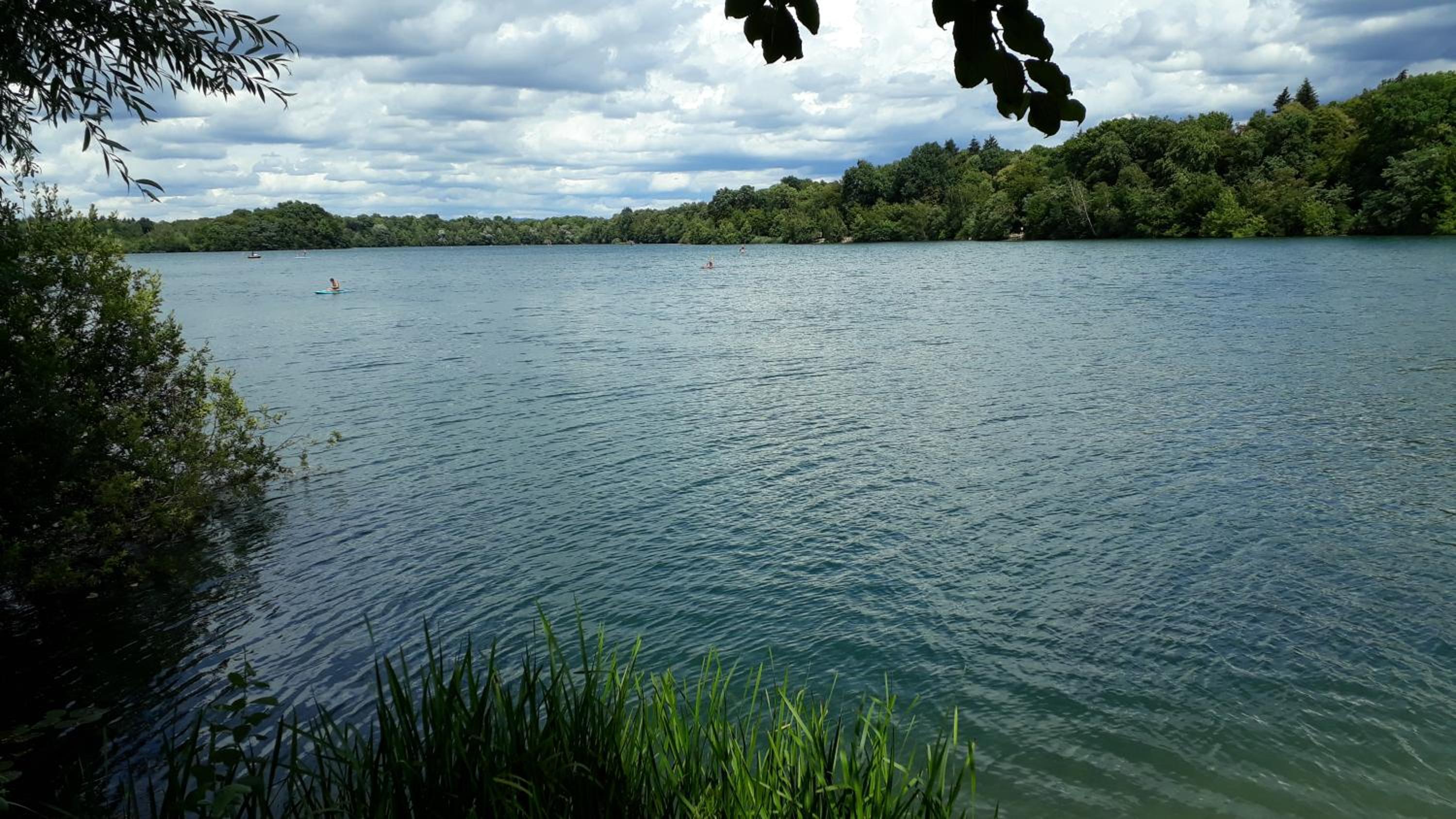 Photo 26
