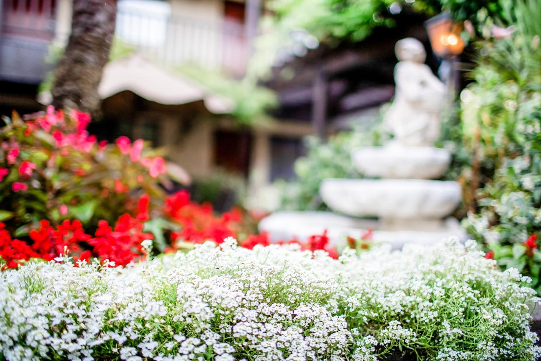 Napa Valley / Sonoma Vacations - Roman Spa Resort - Property Image 9