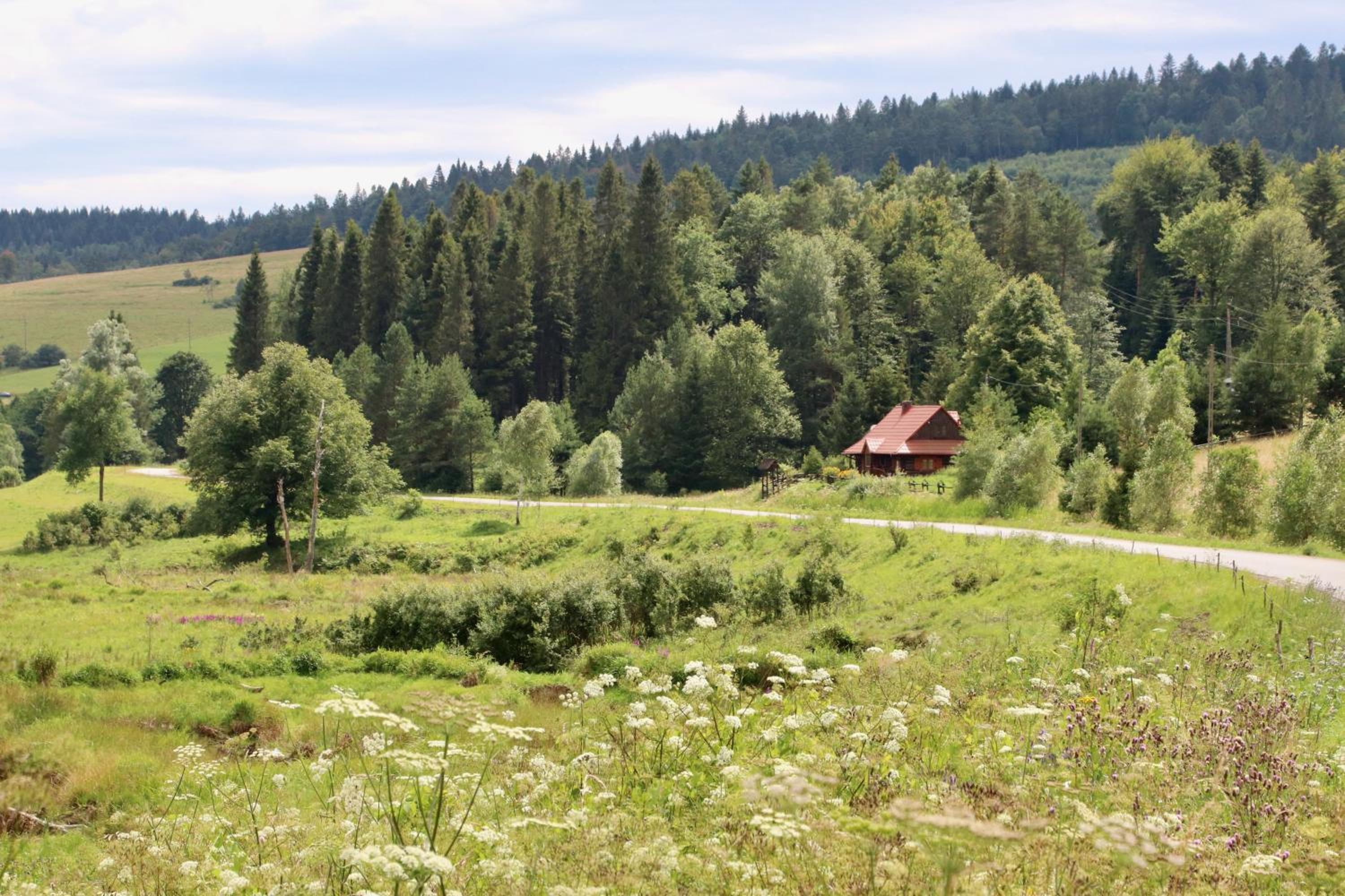 Krzywa 19 view 2