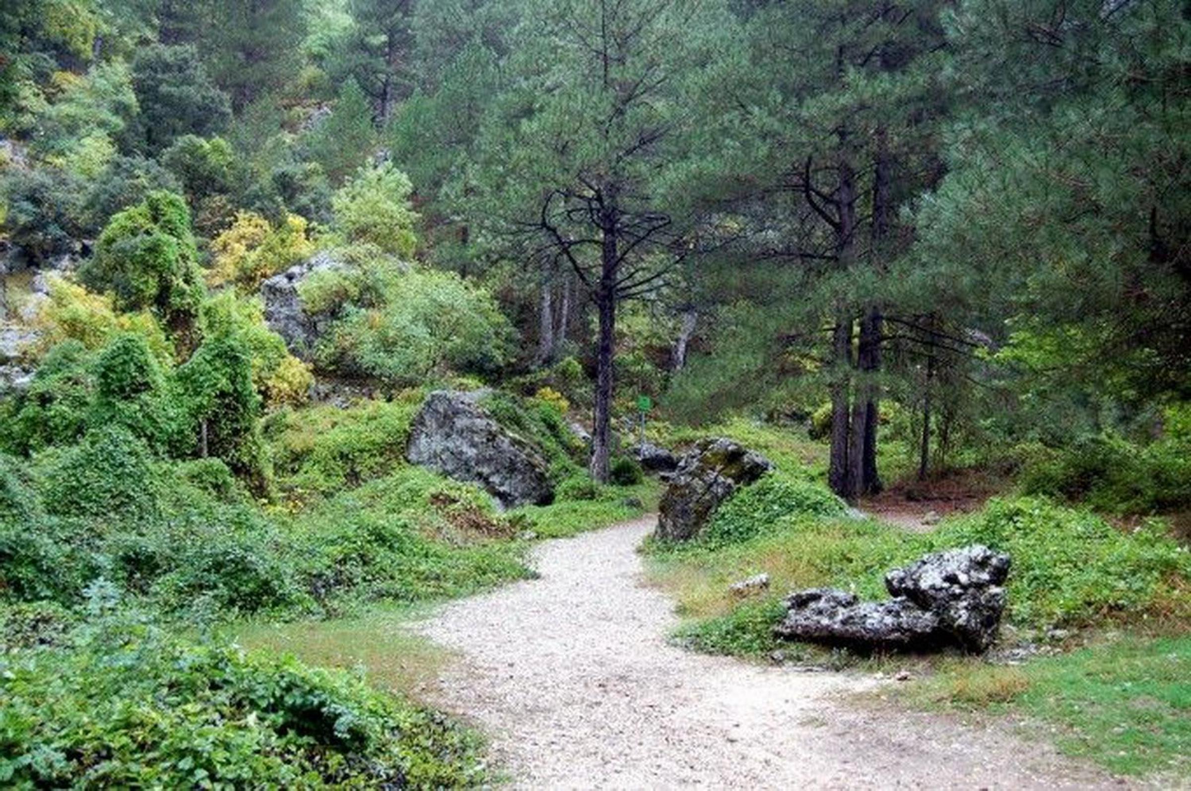 Casa Rural Los Nietos view 2