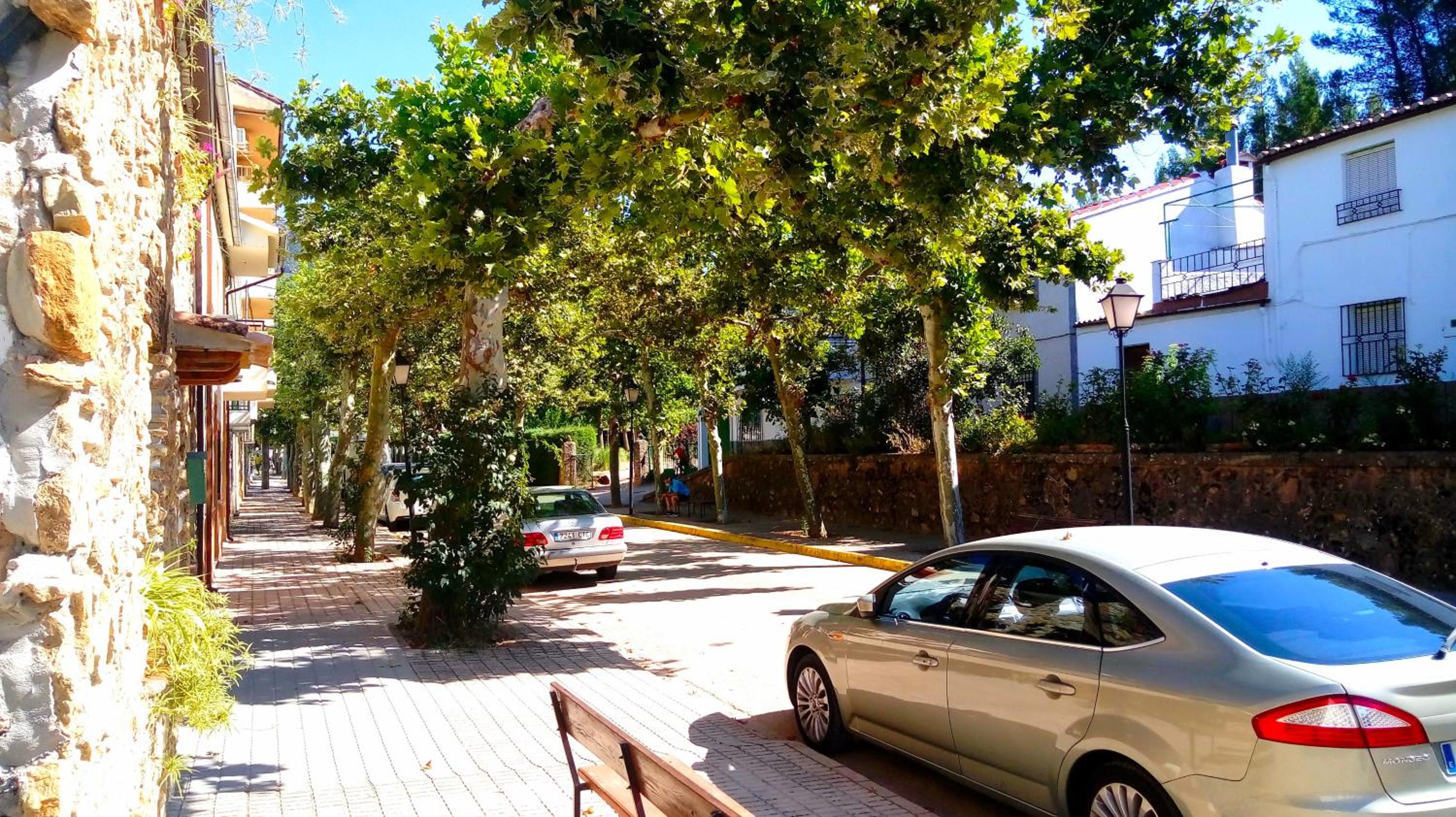 Photo 20
