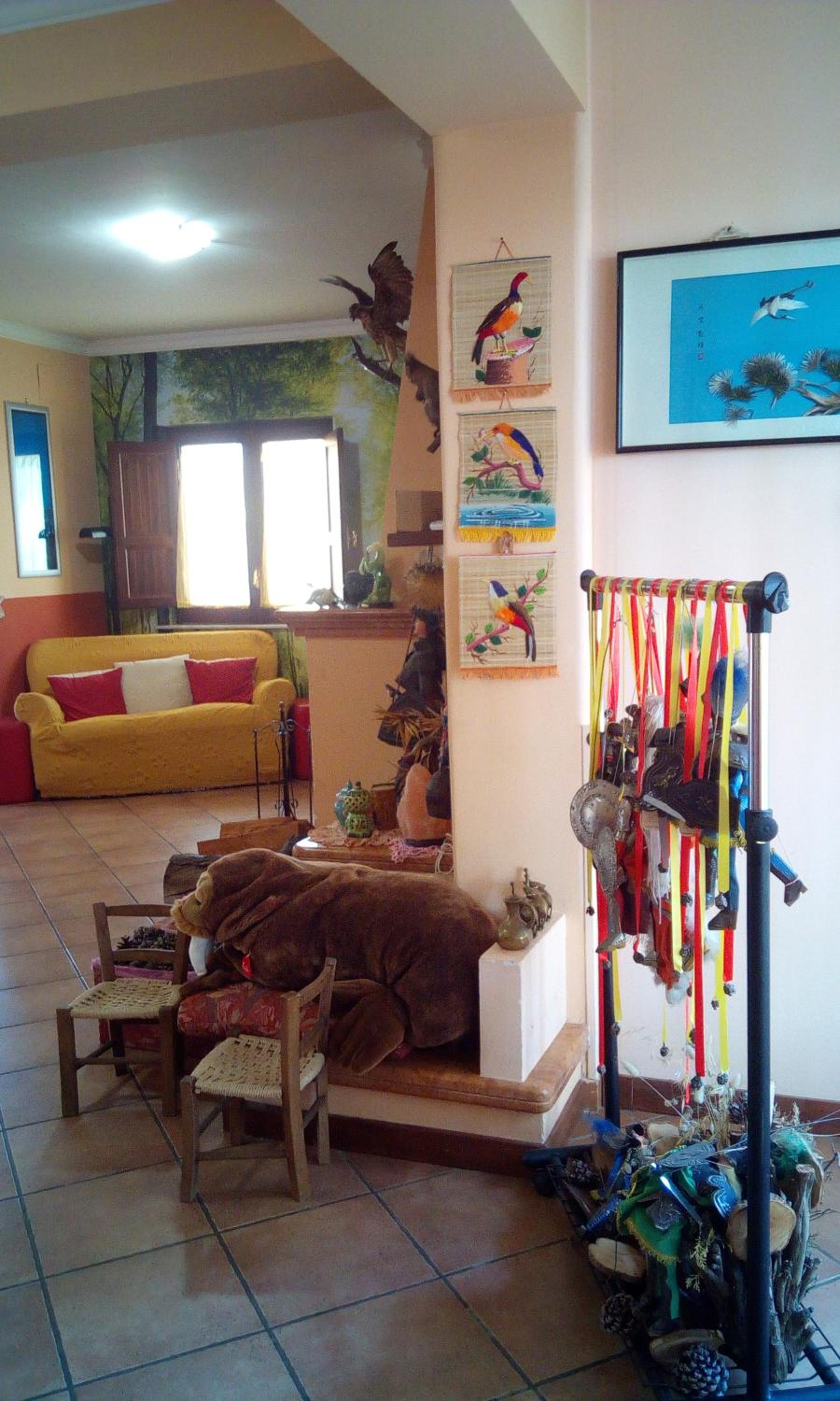 Photo 19