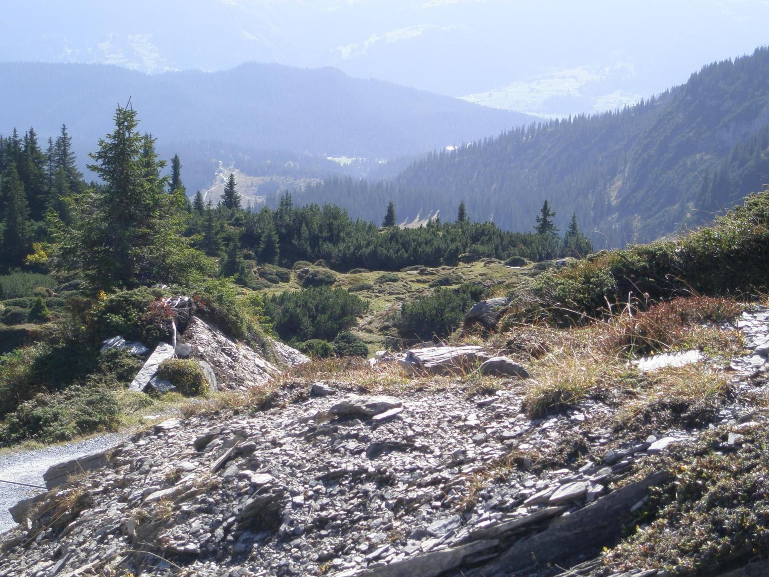 Photo 35