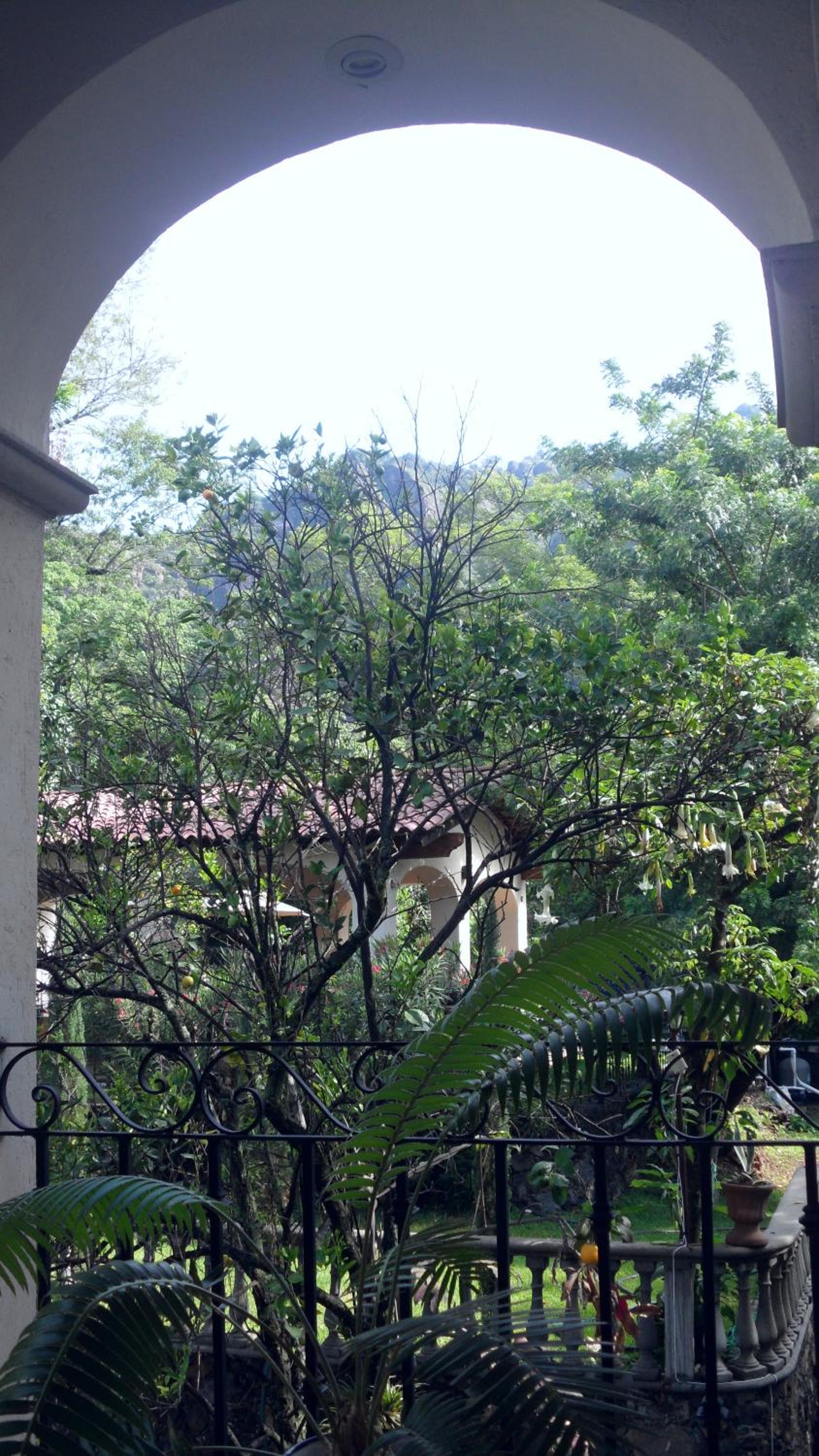 Hacienda Maria Elena view 2
