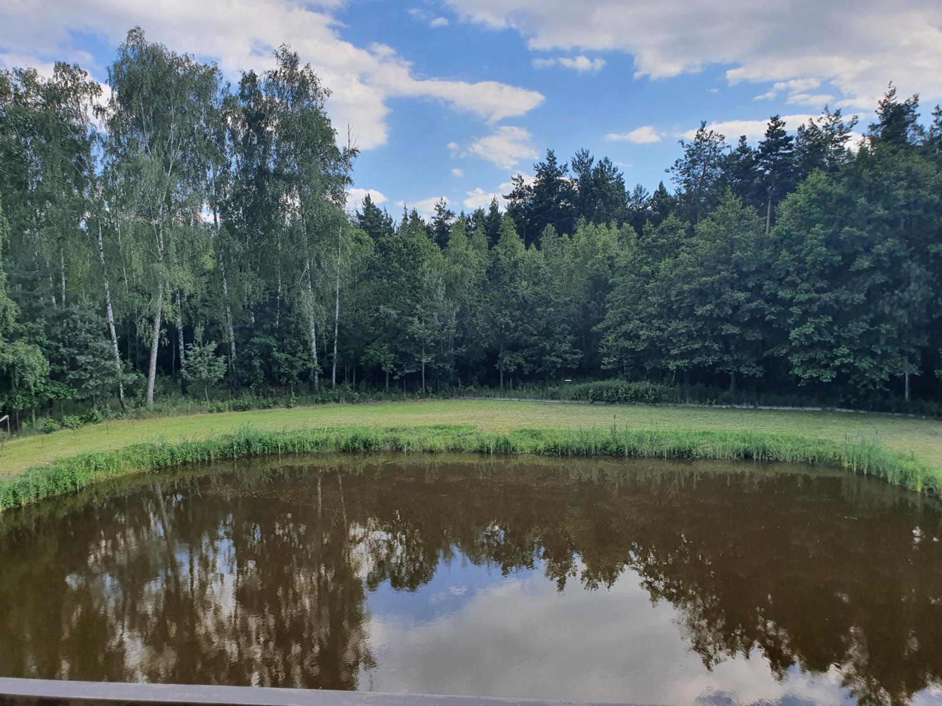 Agroturystyka LAS i WODA view 2