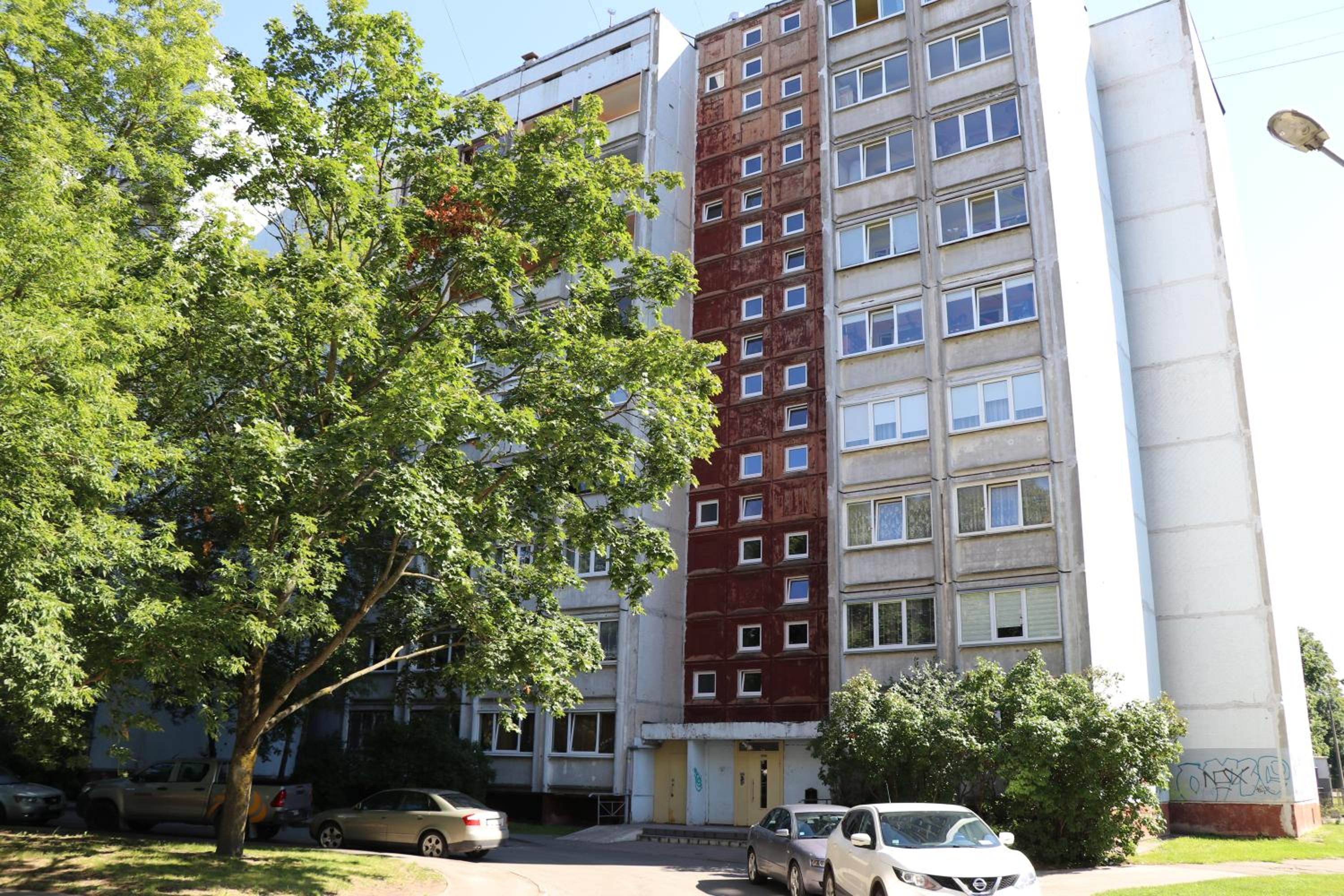 Photo 44