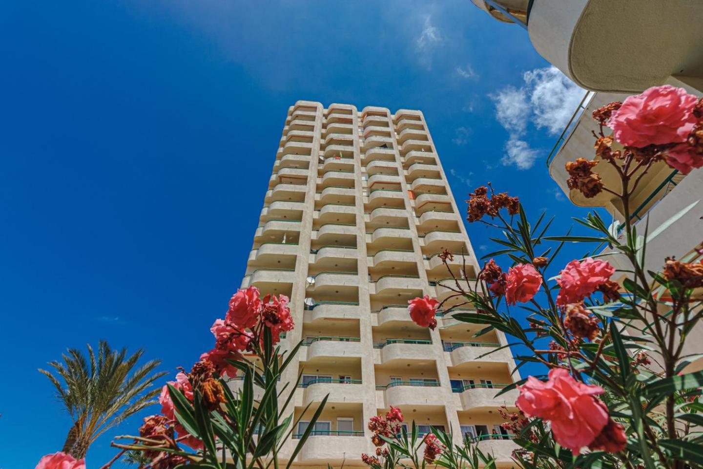 Oasis view 5