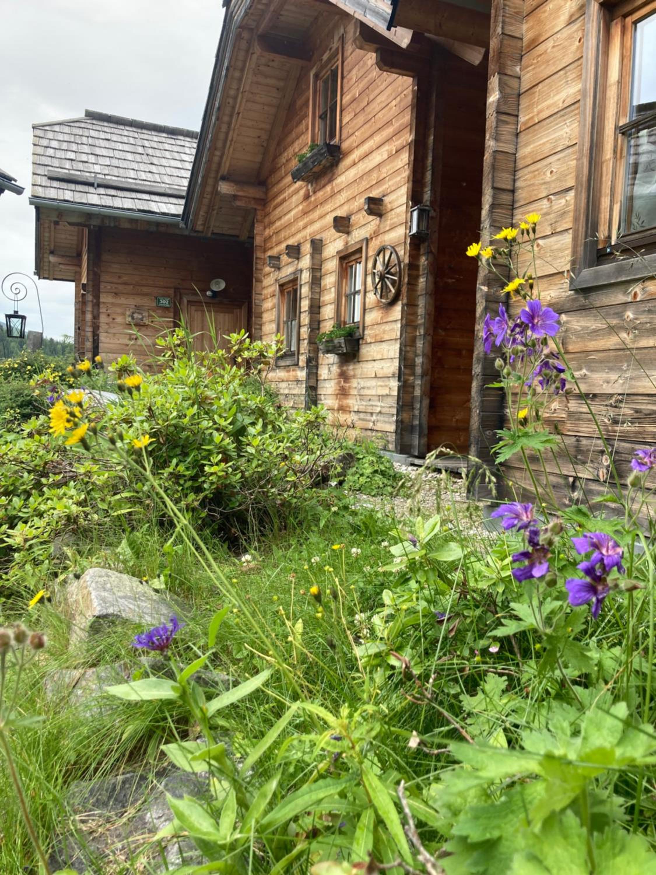 Berg Chalet 303