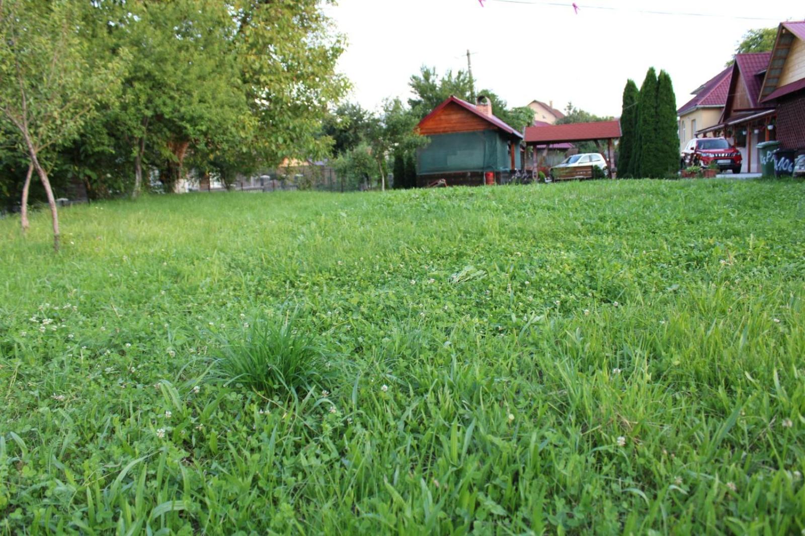 Pensiunea Anca Sapanta-primeste carduri de vacanta view 5