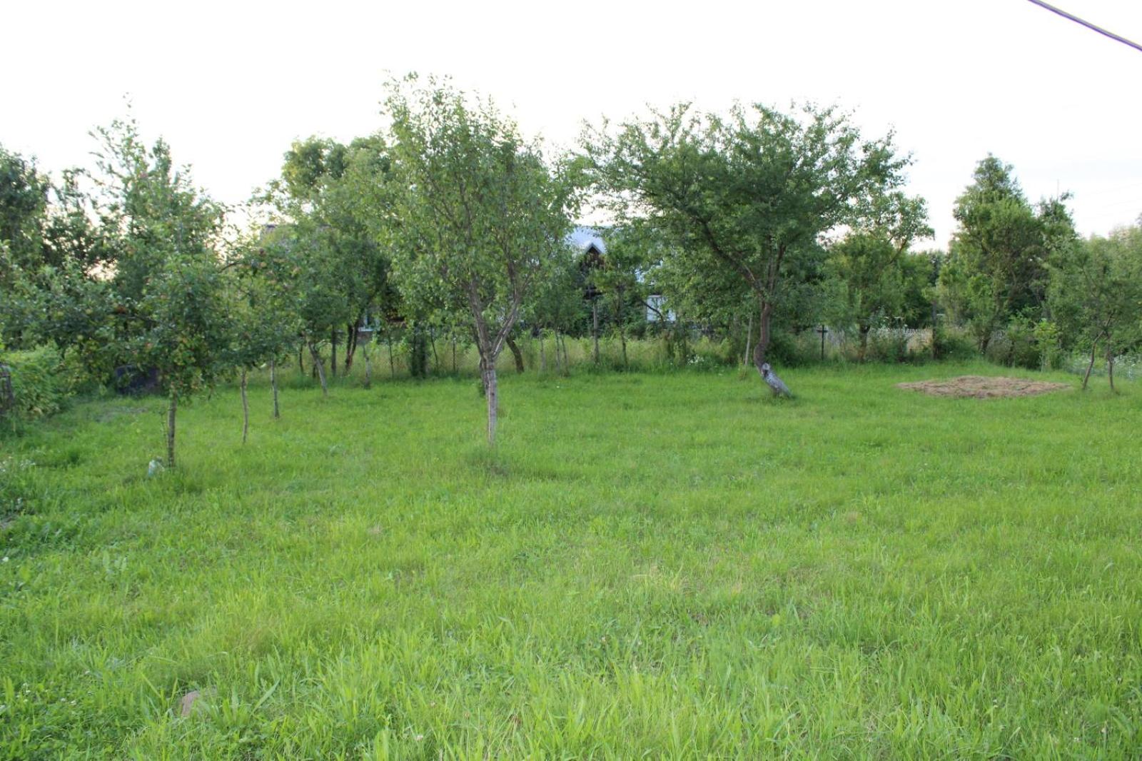Pensiunea Anca Sapanta-primeste carduri de vacanta view 4