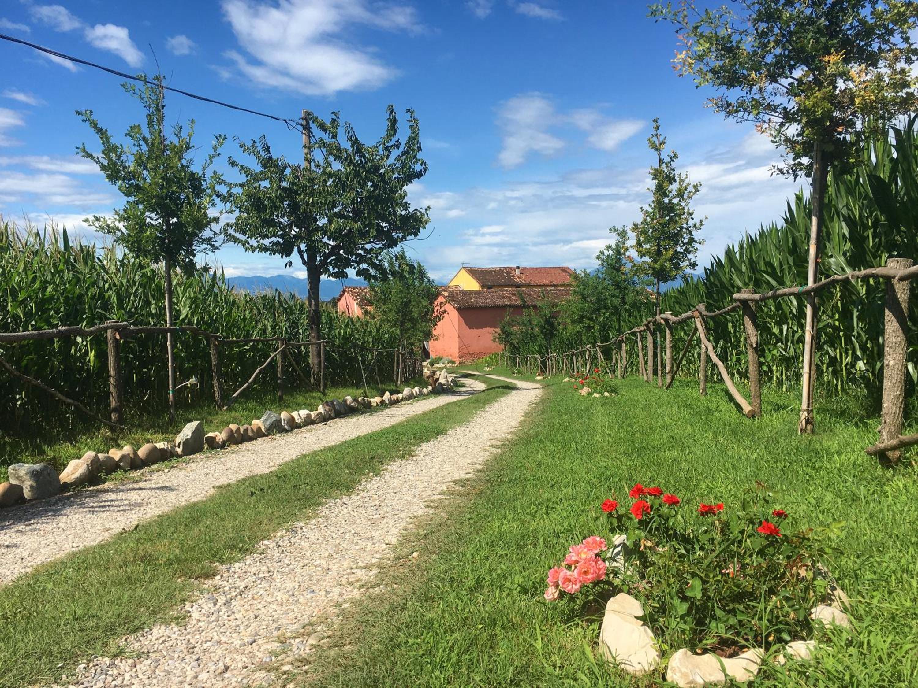 La Valle dei Vigher