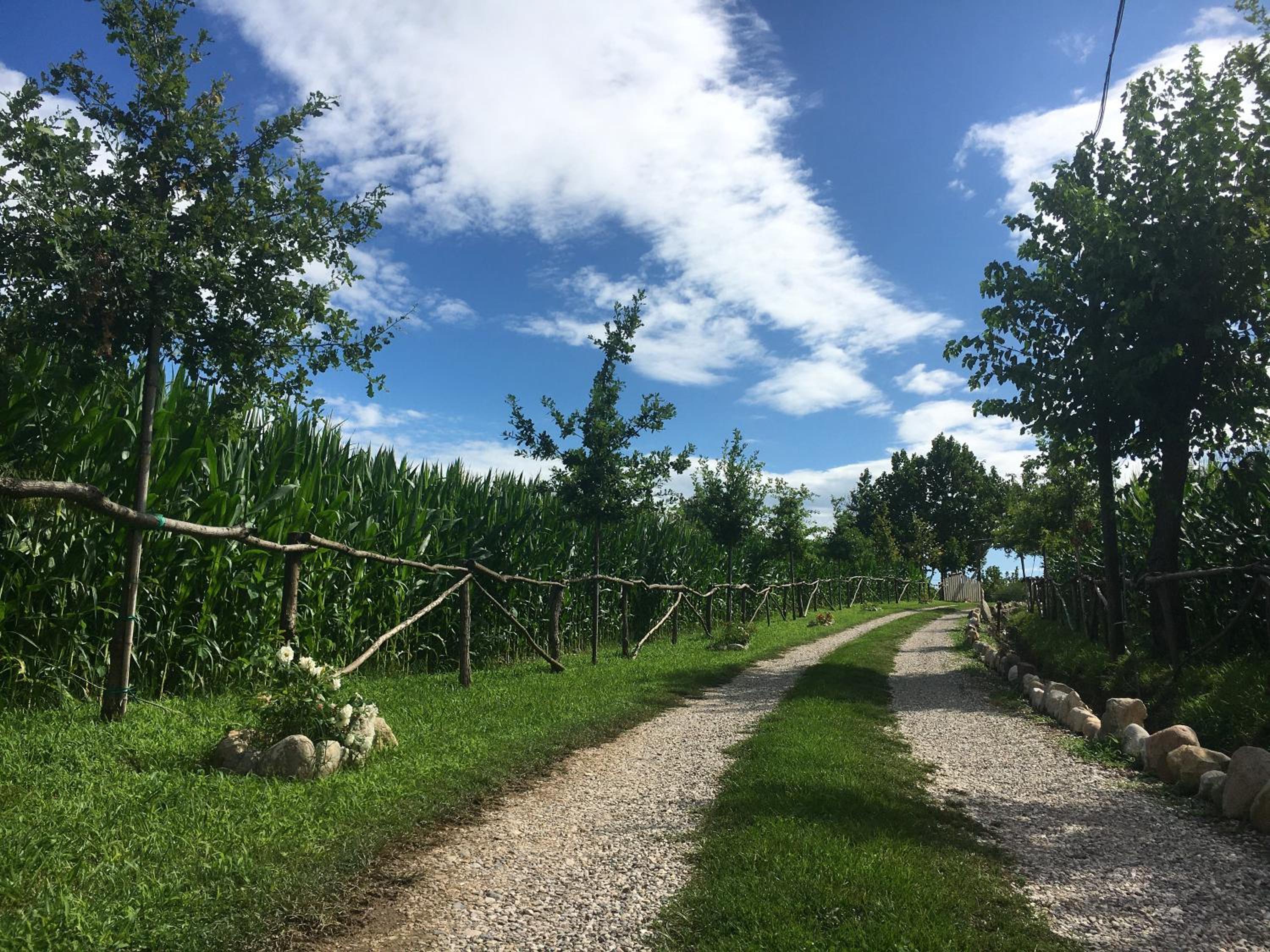 La Valle dei Vigher