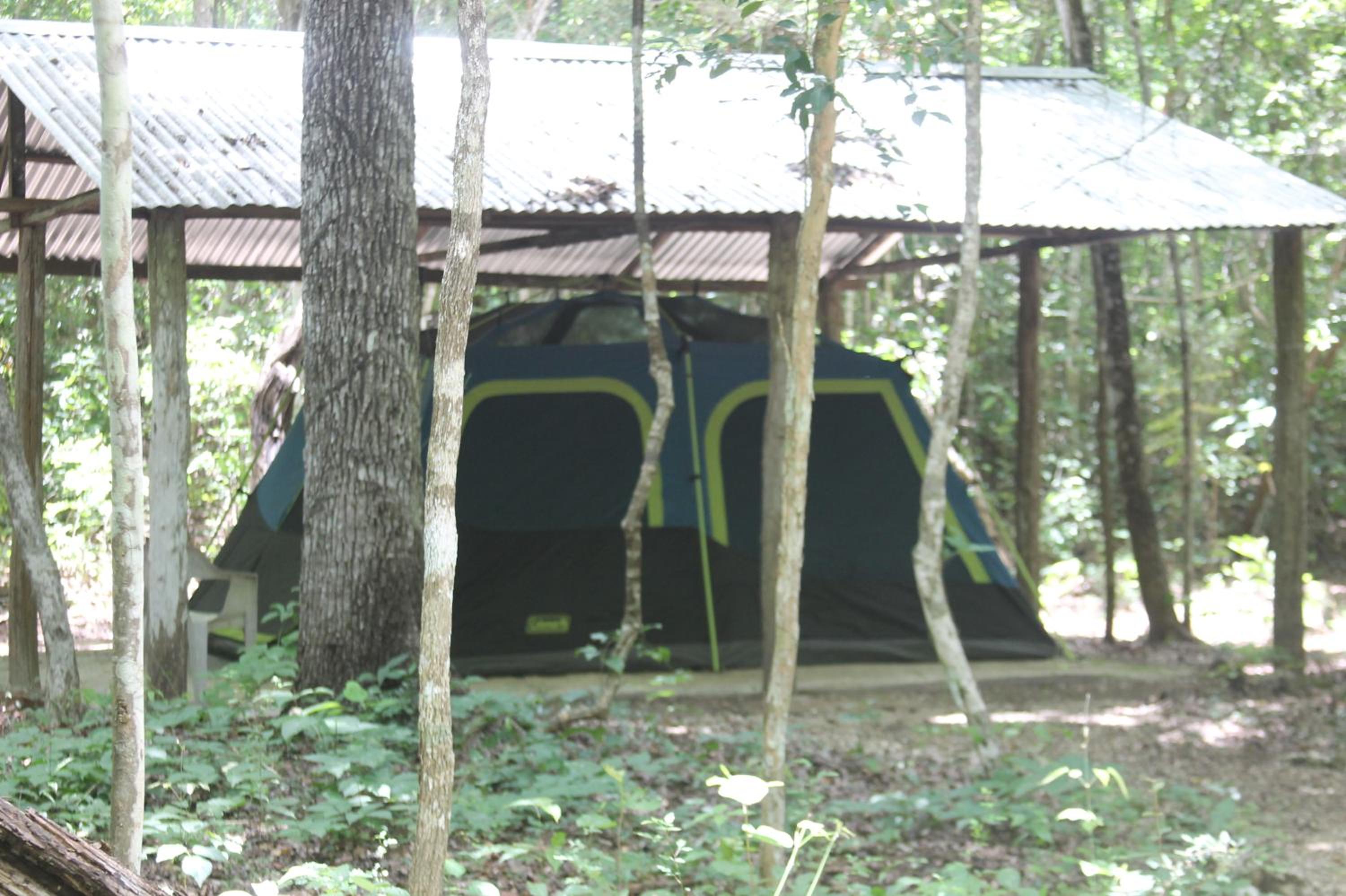 Campamento Yaax Che en Calakmul view 2