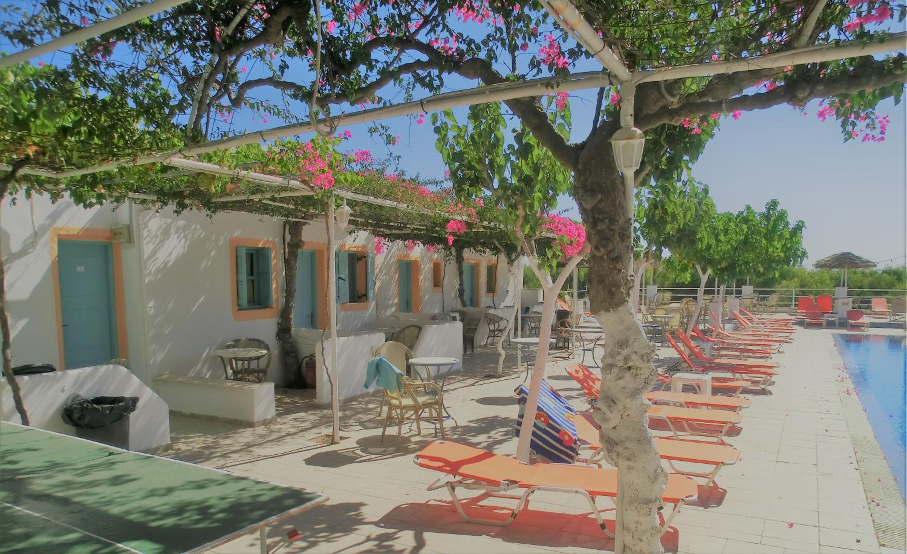 Santorini Camping & Hostel