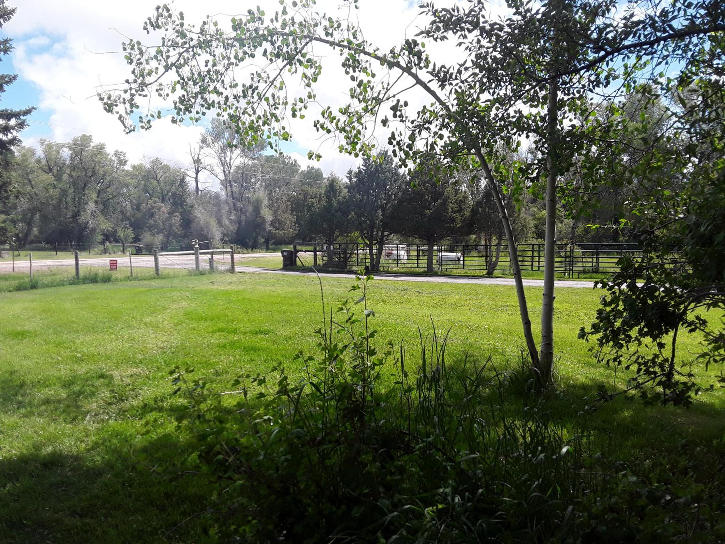 Photo 26
