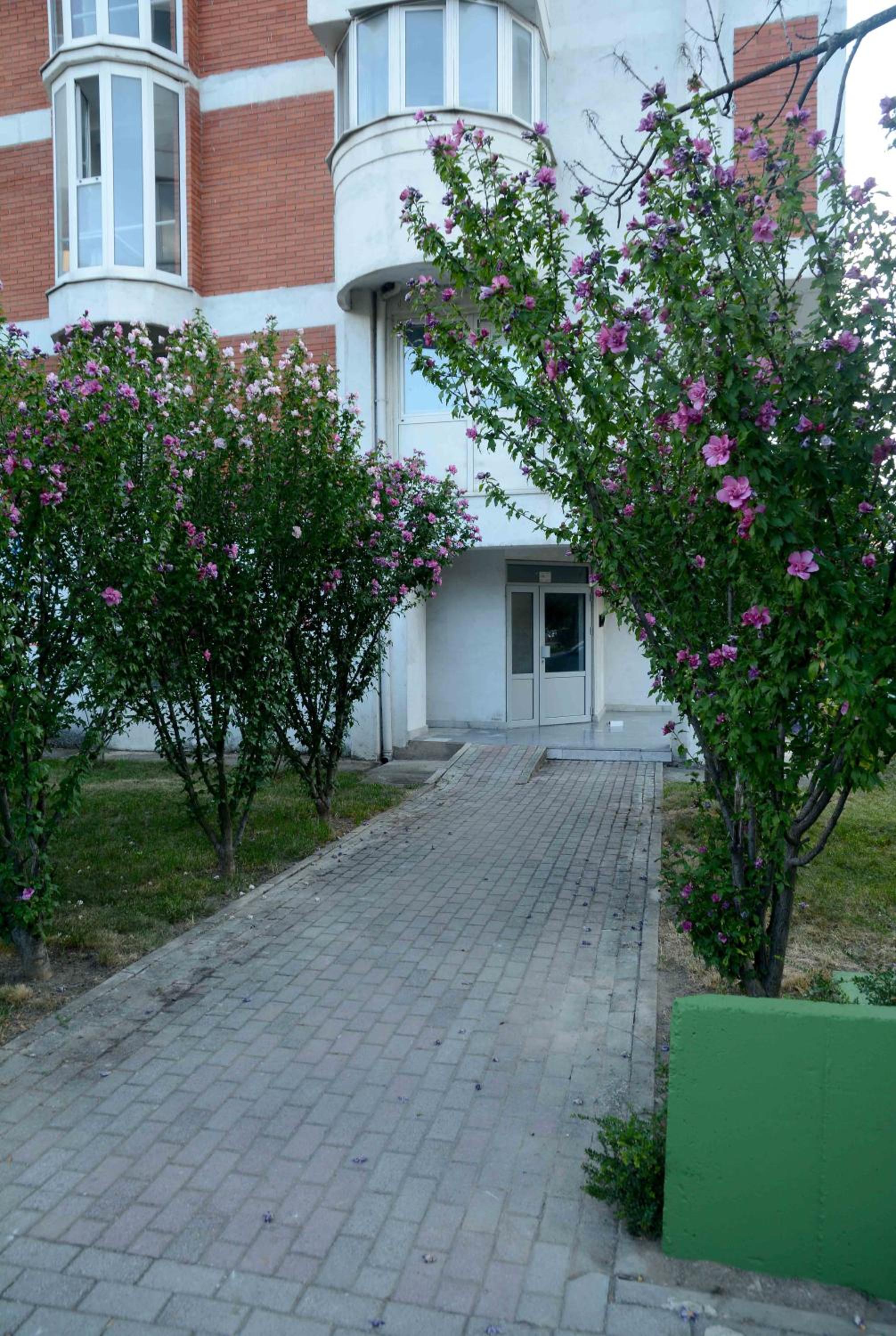 Photo 31