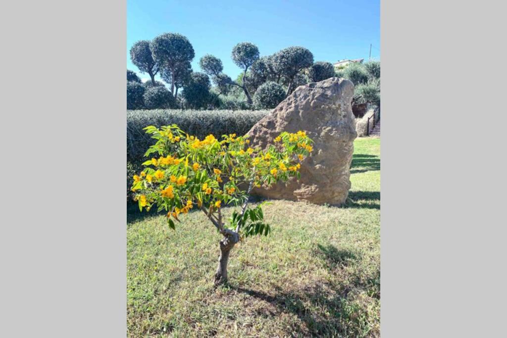 TheVilla holiday, photo 33