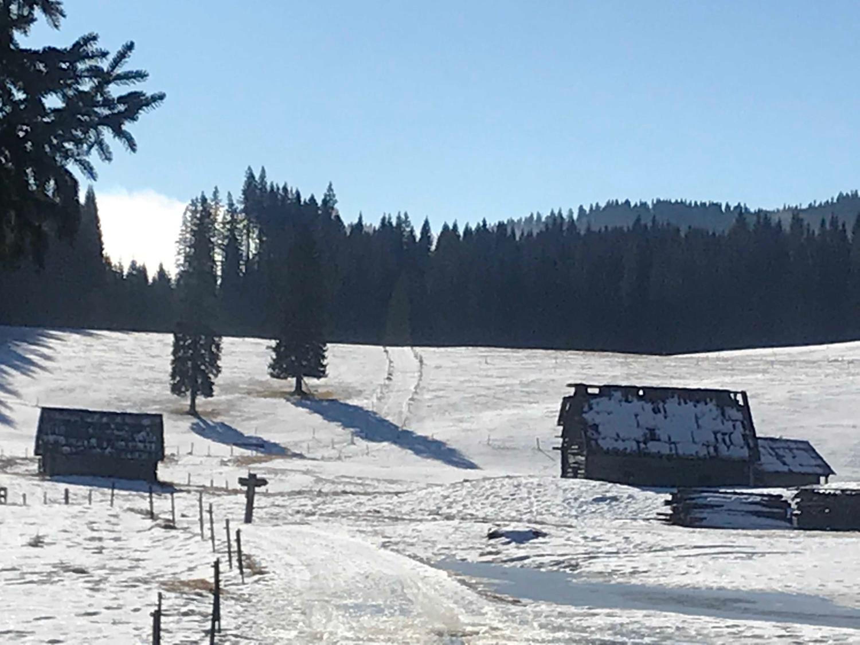 Chalet Stara Jelka Pokljuka view 5