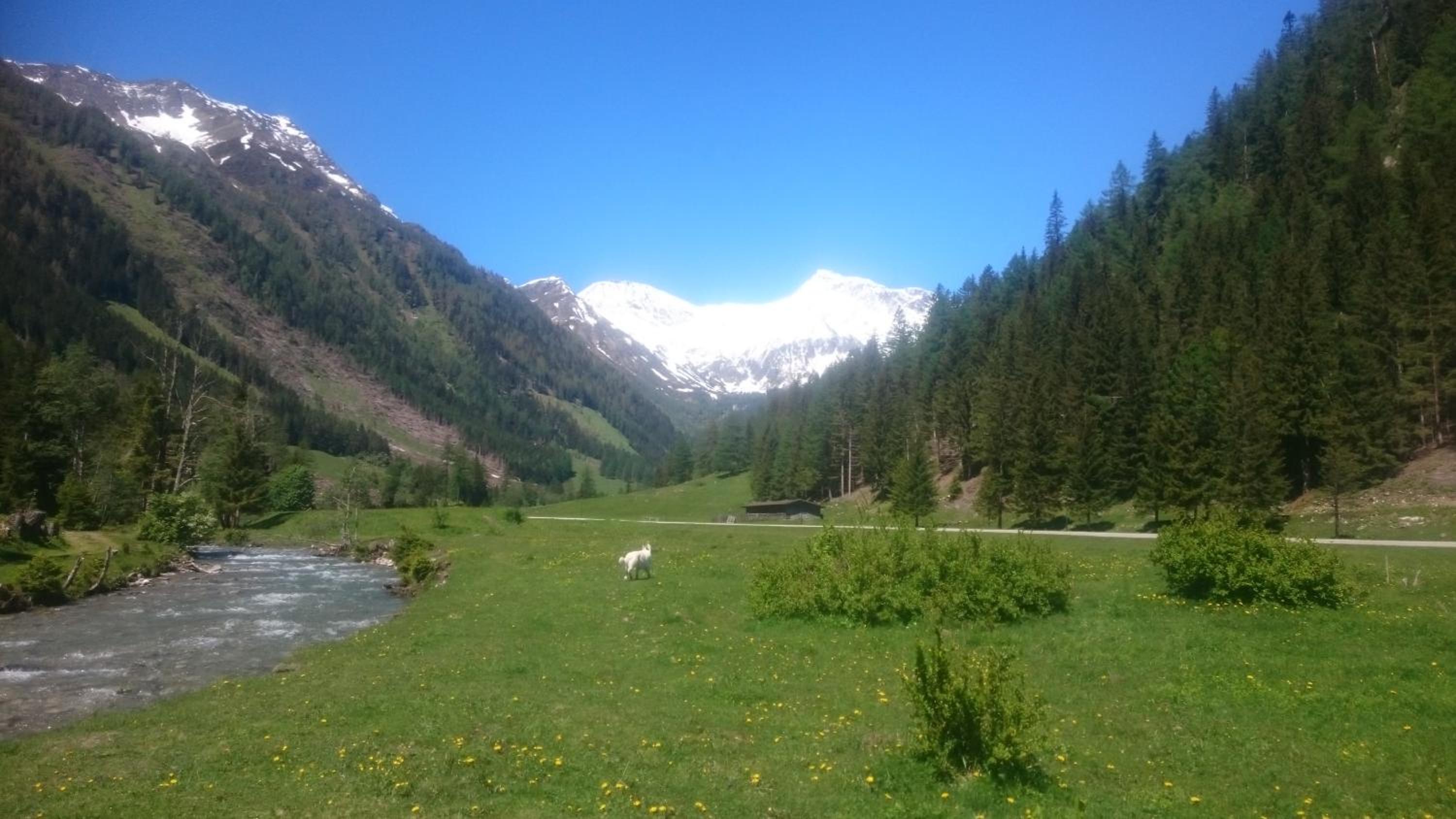 Photo 19
