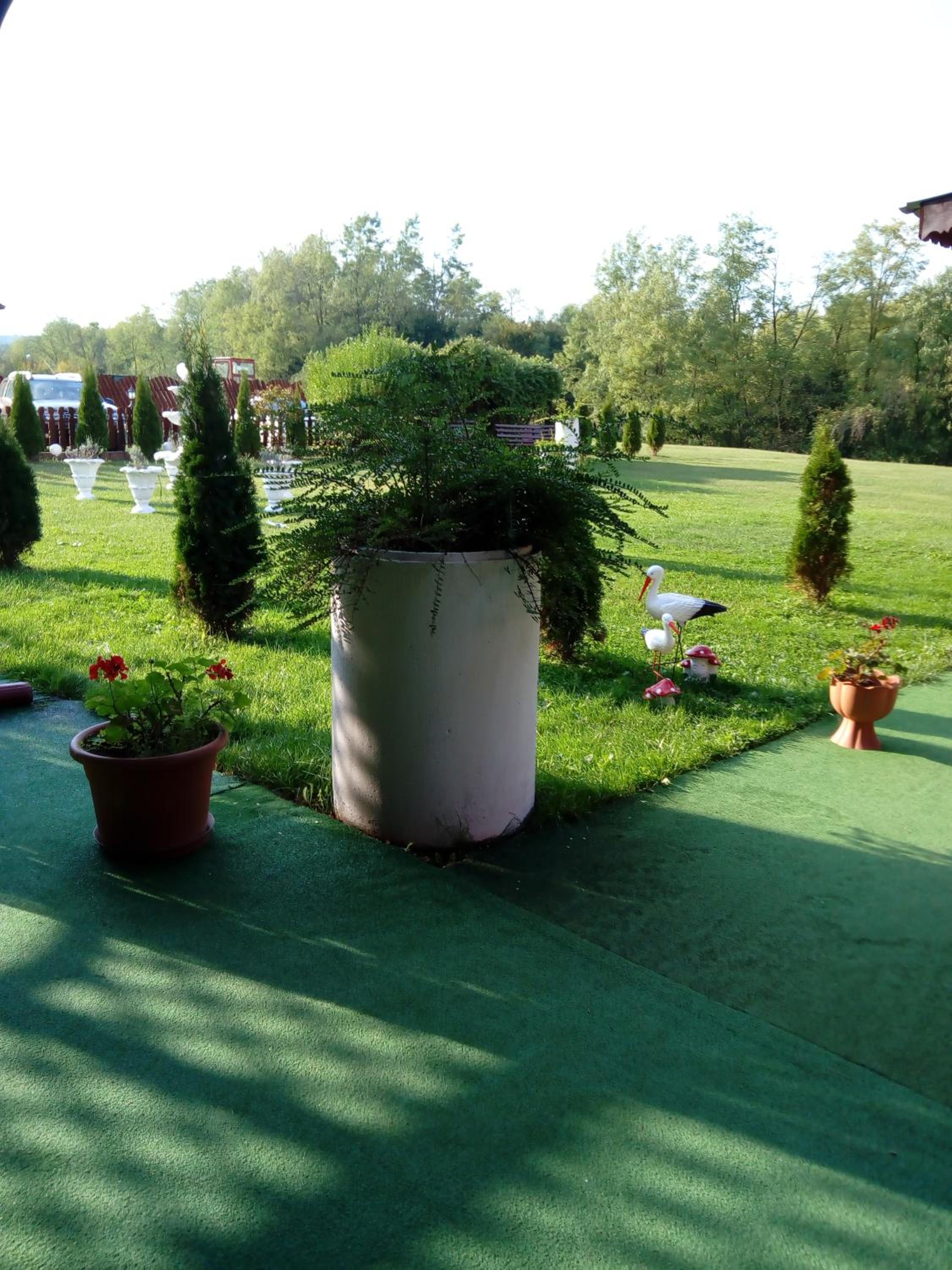 Photo 26