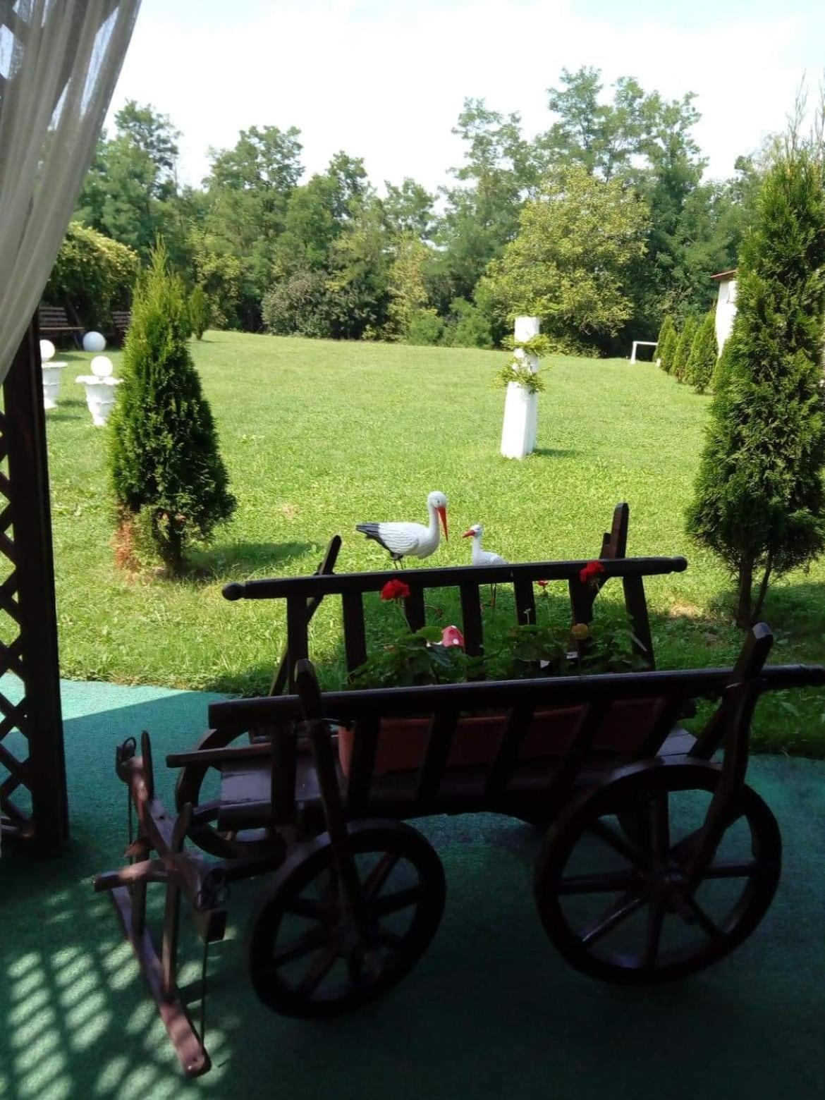 Photo 22