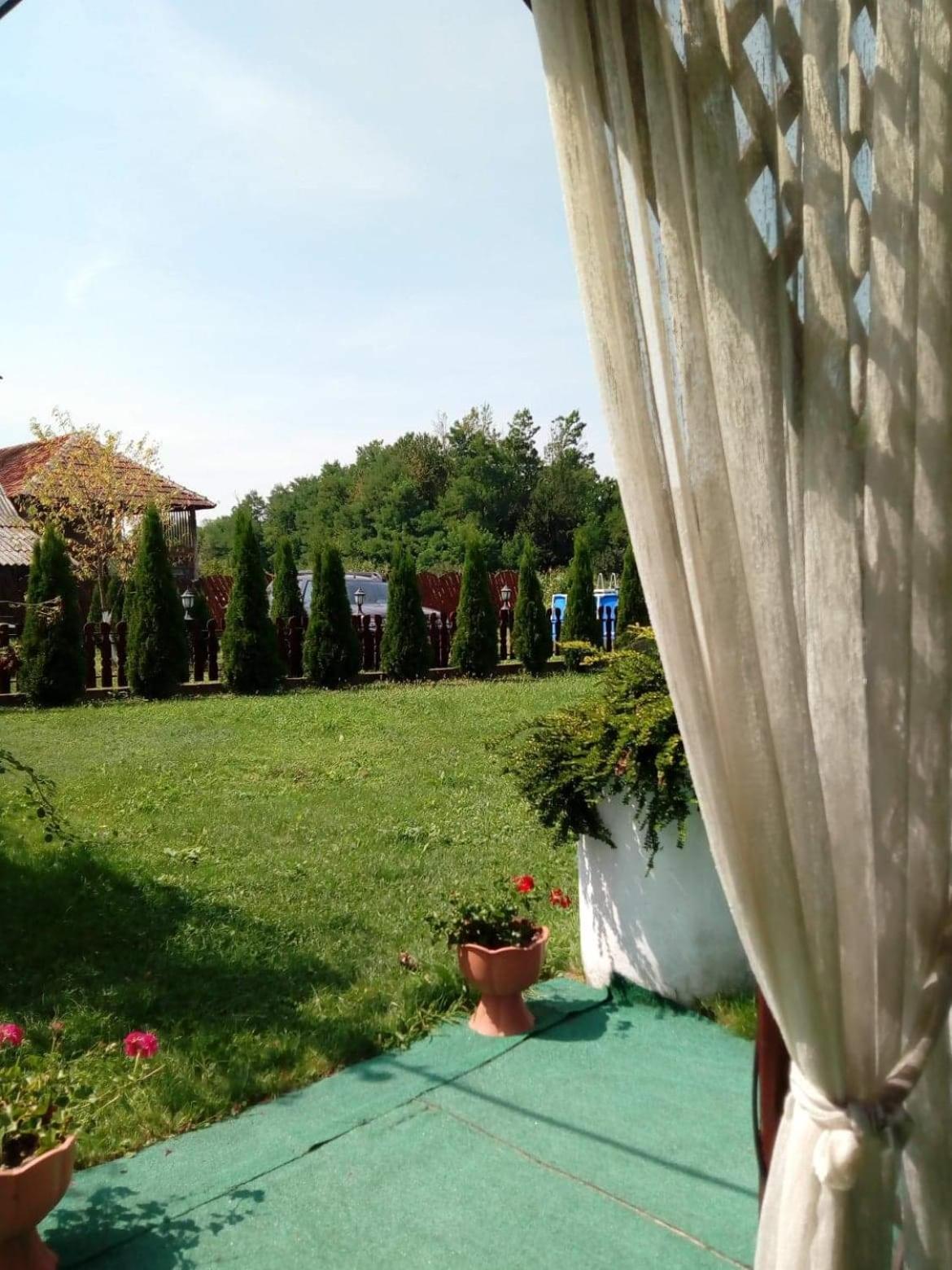 Photo 23