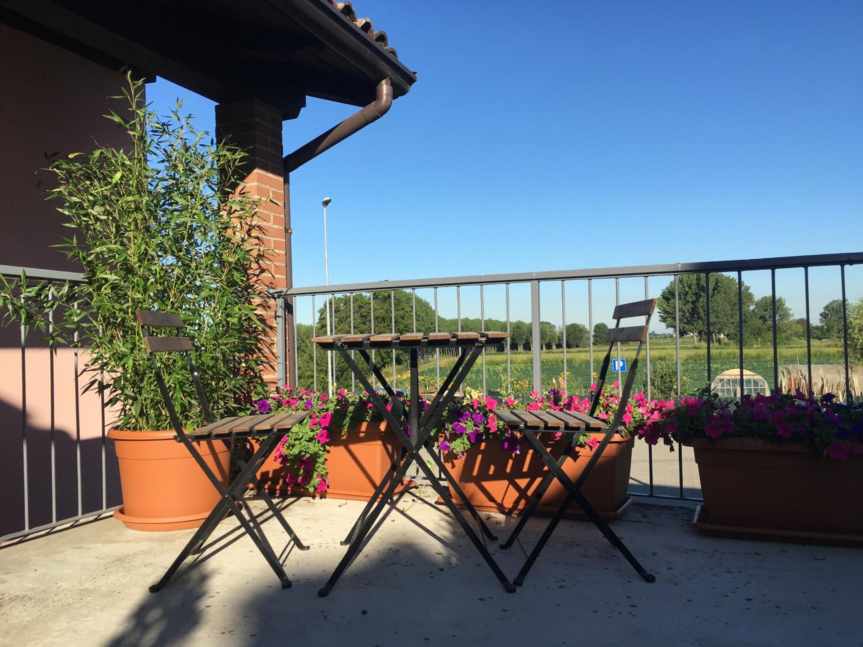 balance & terrace
