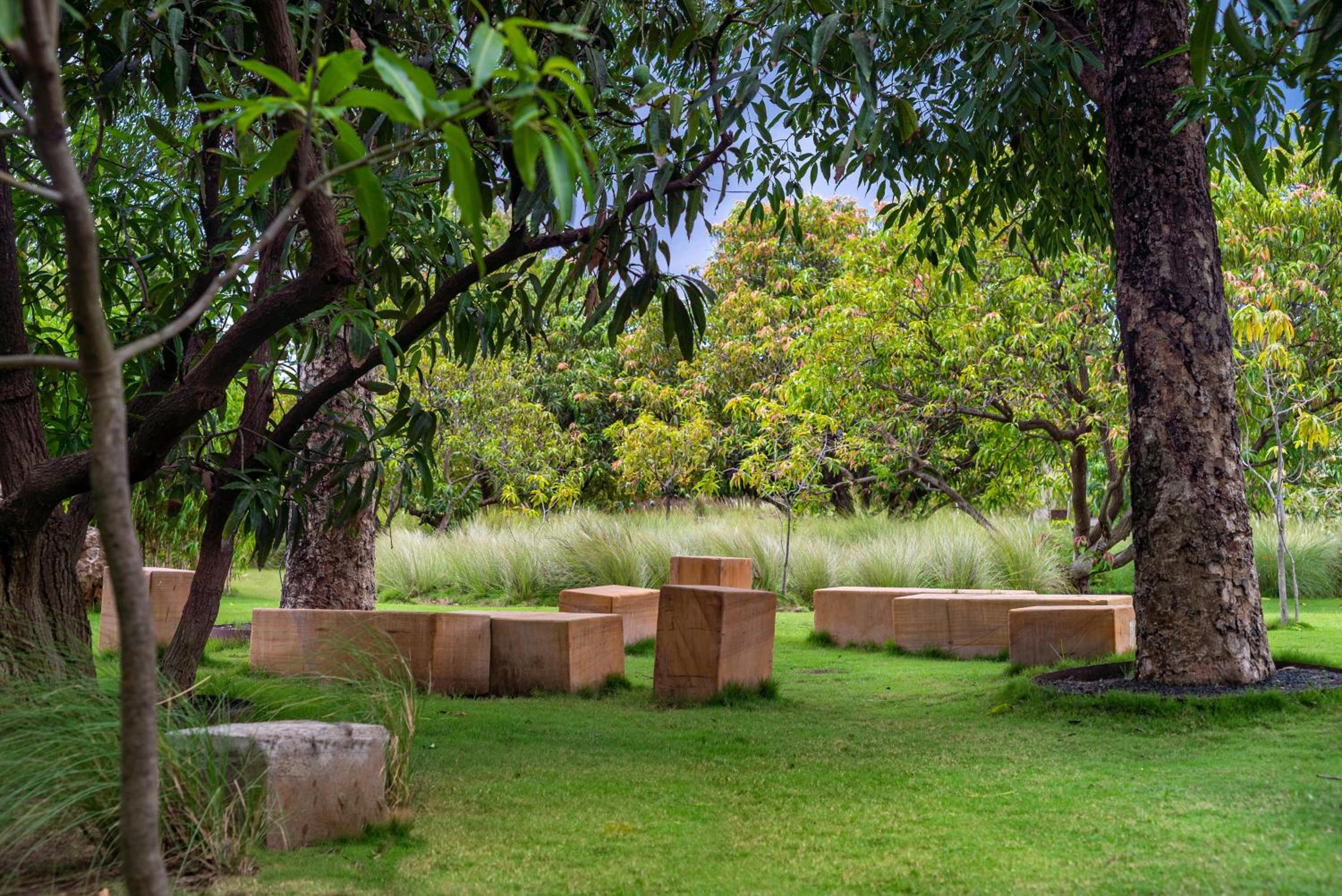 Woods at Sasan