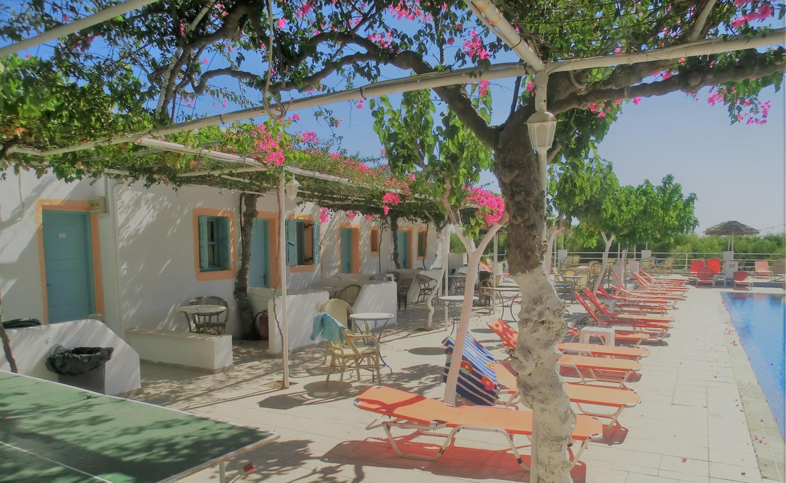 Santorini Camping & Hostel