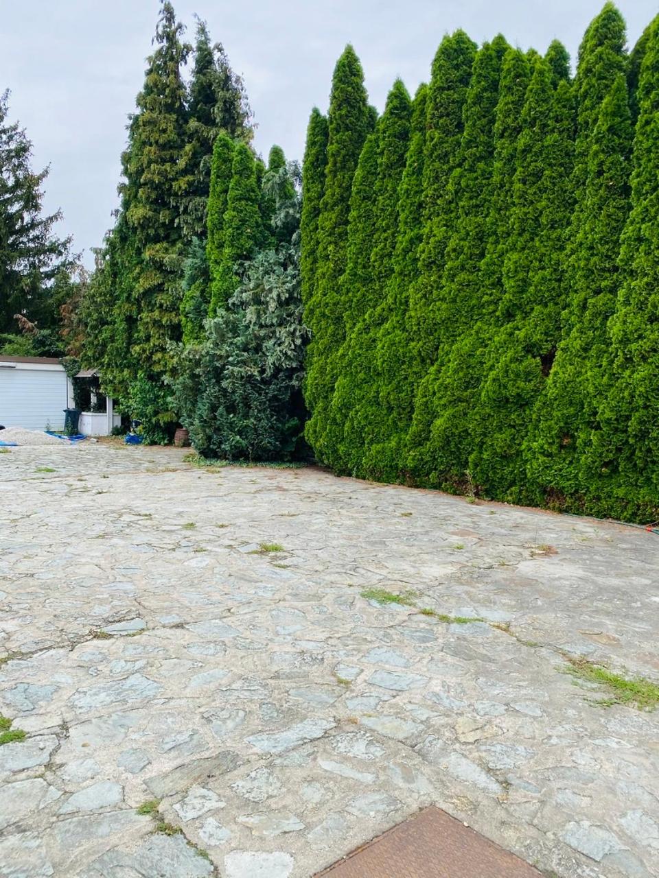 Photo 57