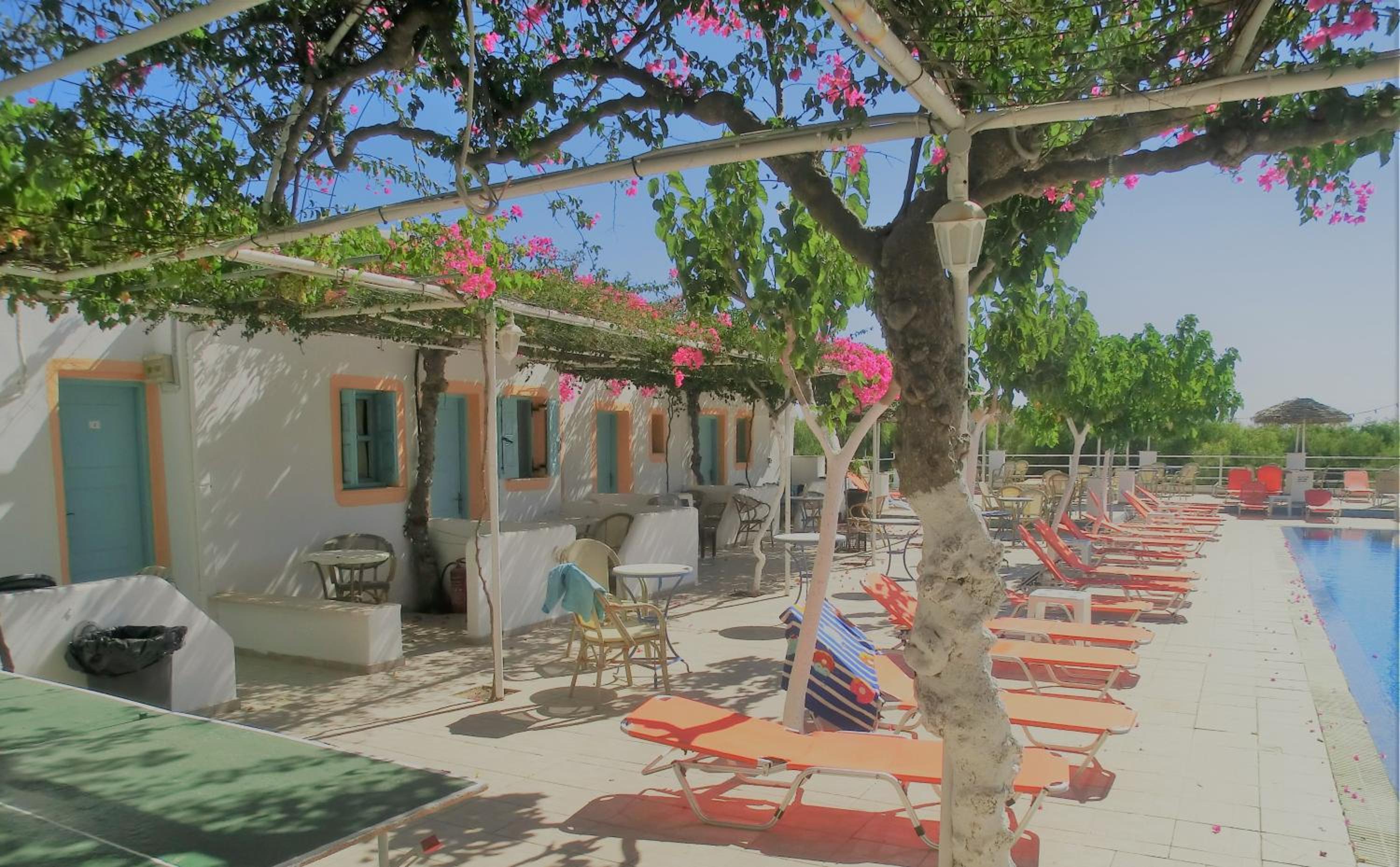 Santorini Camping & Hostel