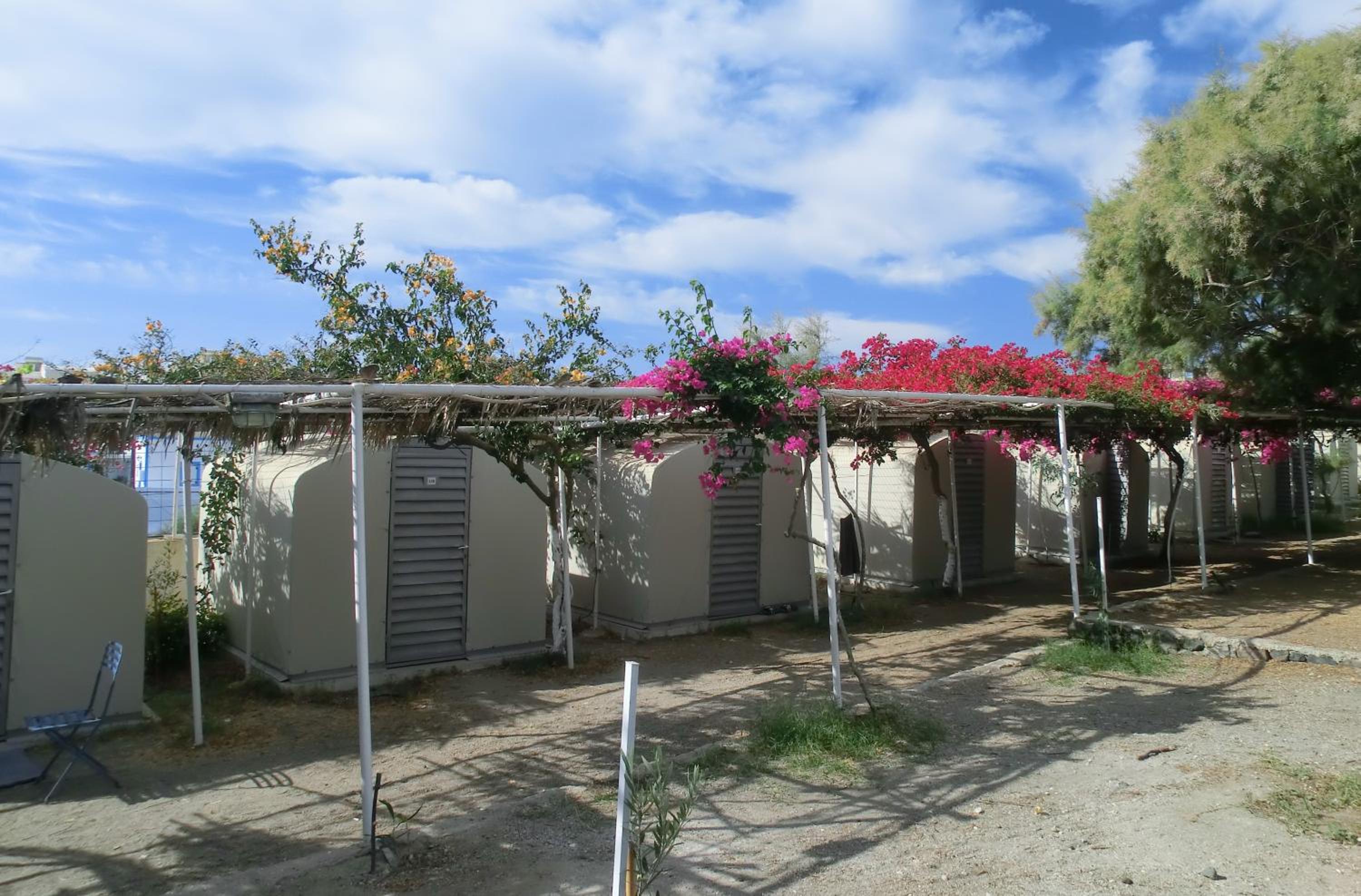 Santorini Camping & Hostel