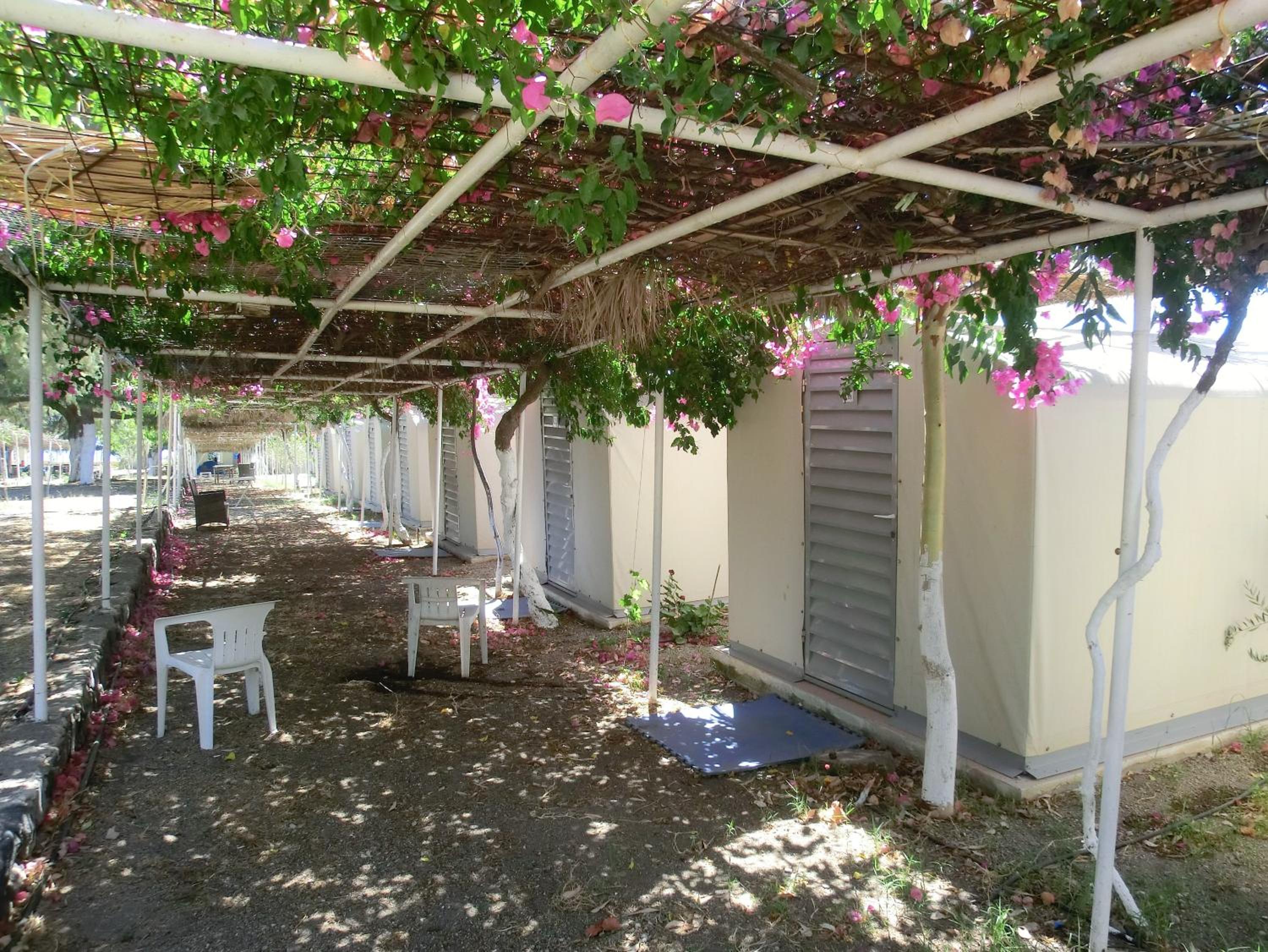 Santorini Camping & Hostel