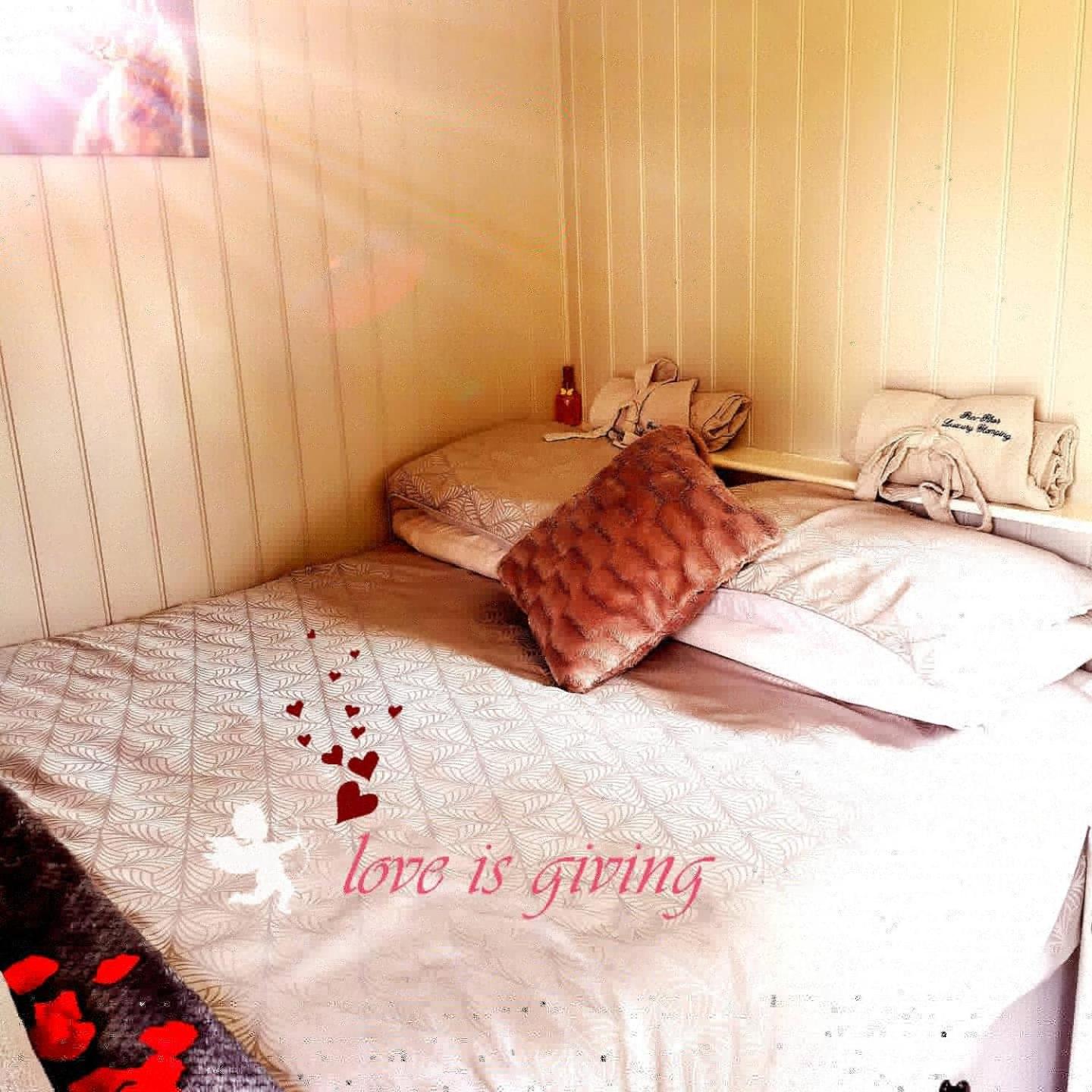 pen-rhos luxury glamping "The Hare Hut" view 3