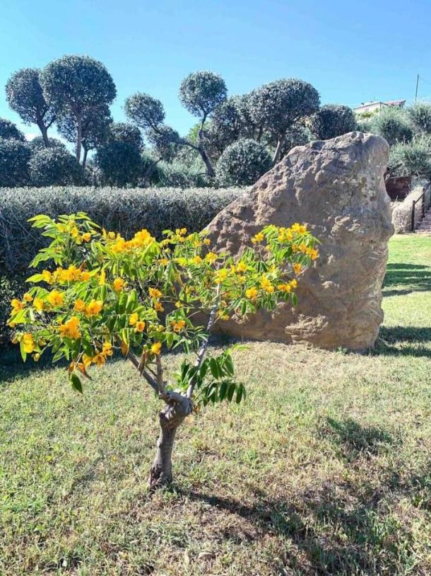 TheVilla holiday, photo 28